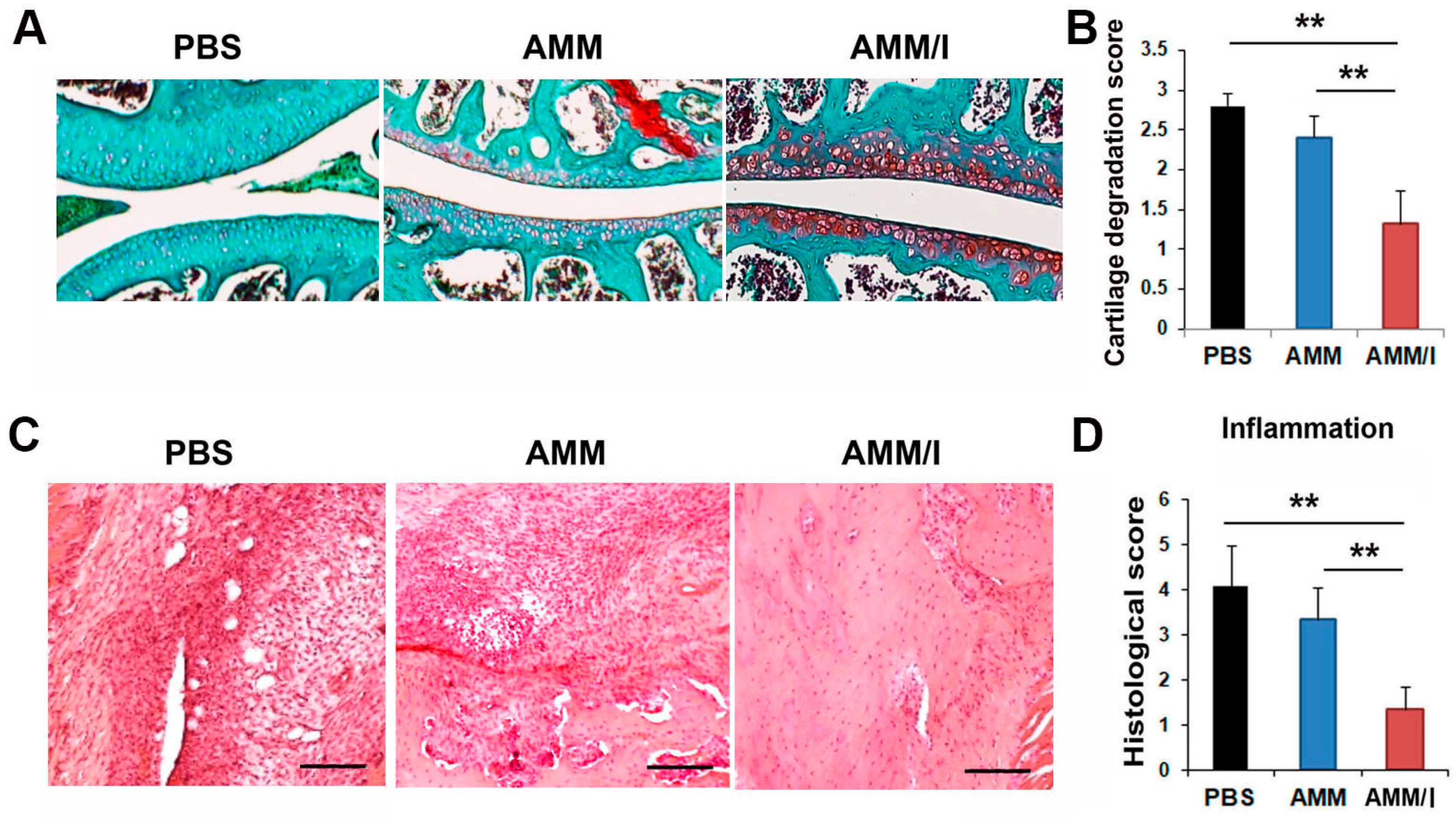 Ijms 25 04442 g005 Ijms 25 04442 g005