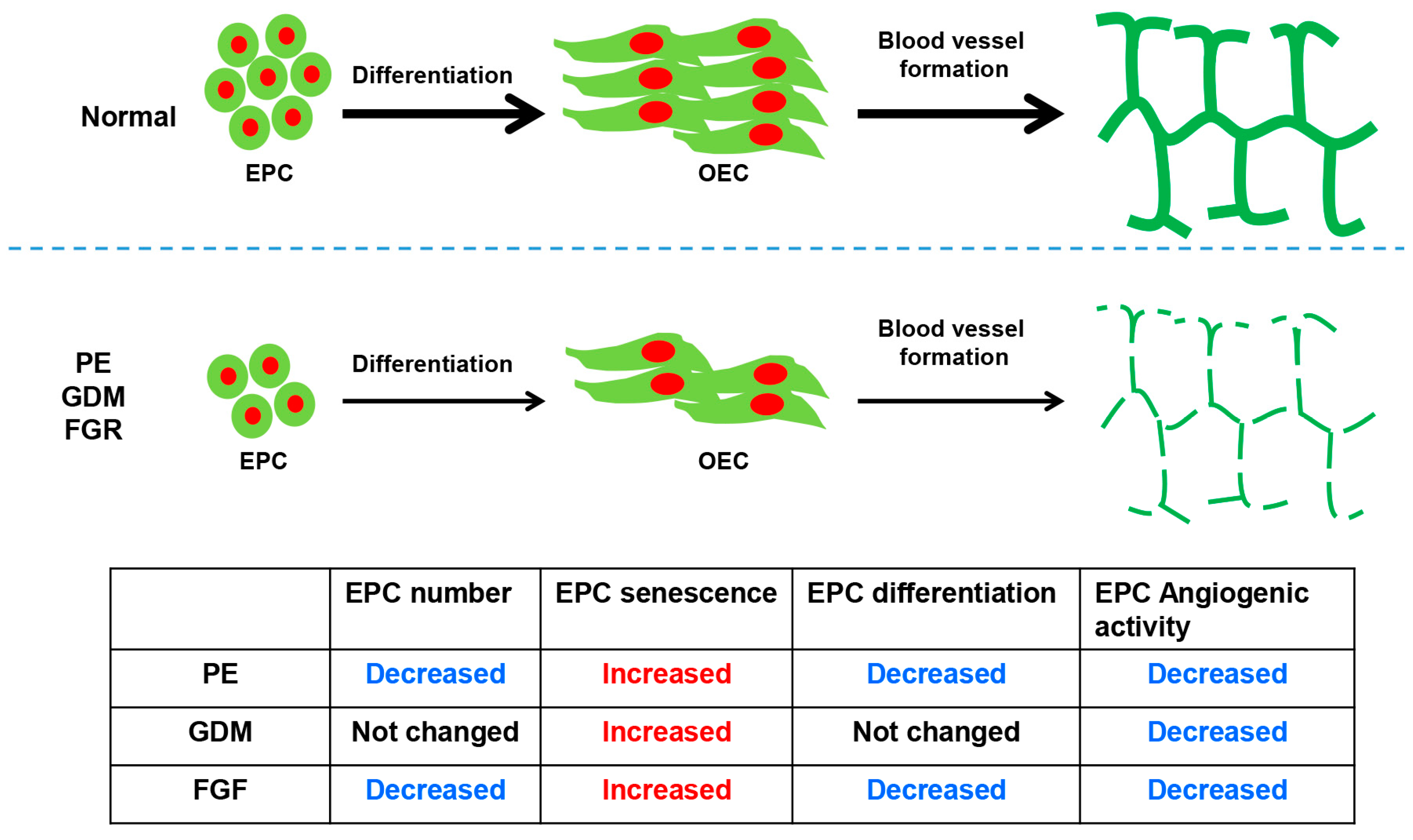 Ijms 25 04444 g001 Ijms 25 04444 g001
