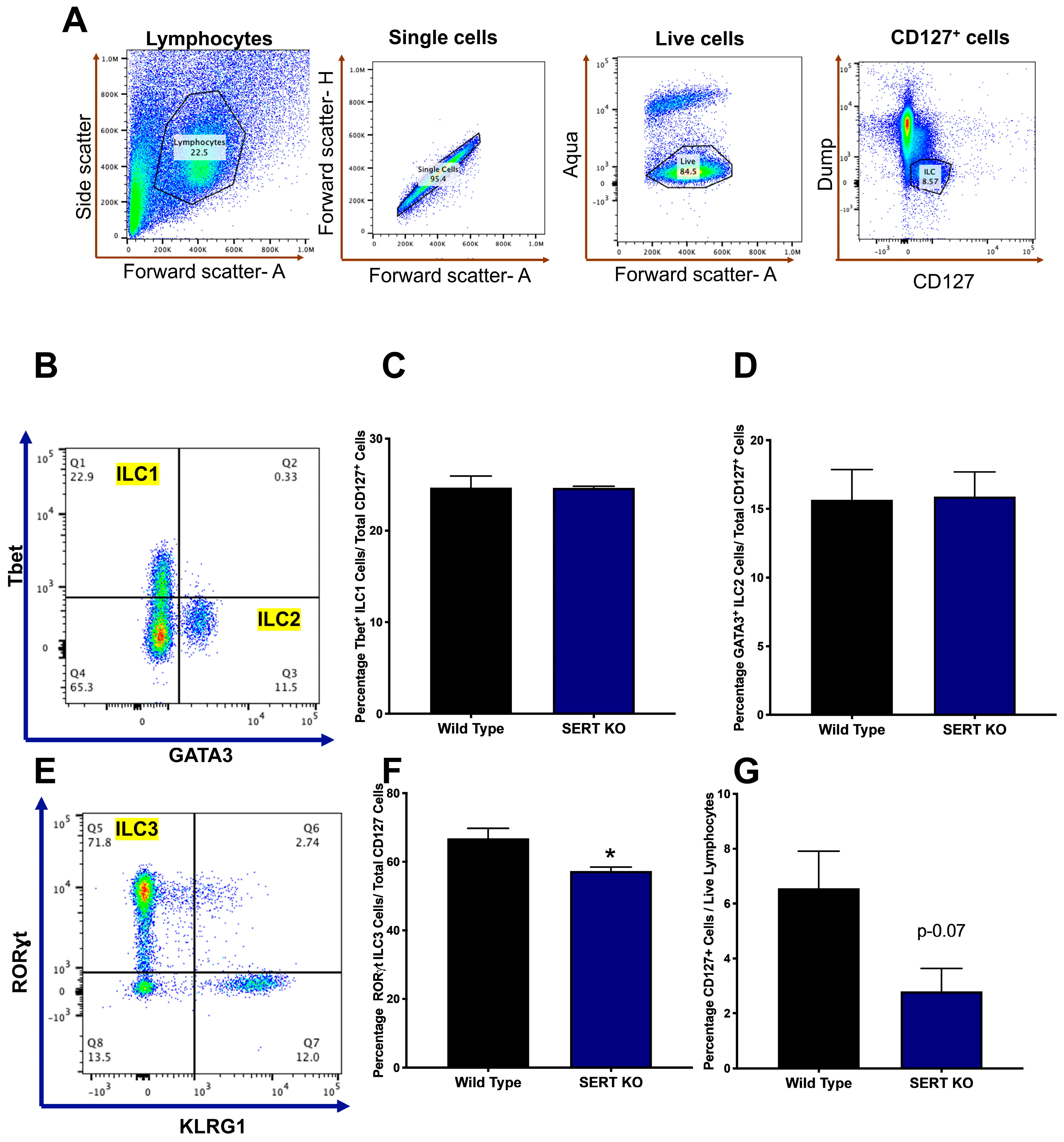 Ijms 25 04459 g005 Ijms 25 04459 g005
