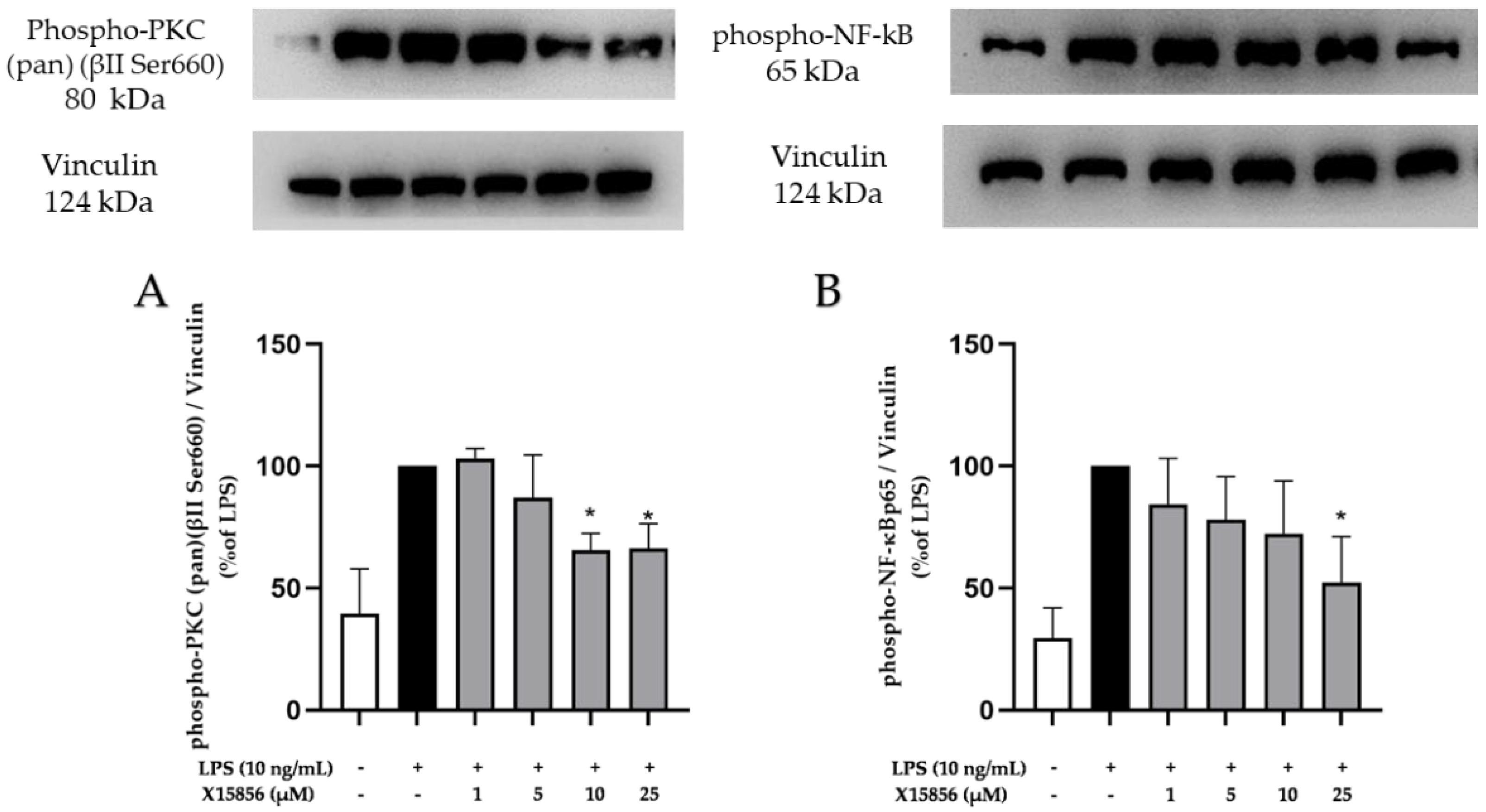 Ijms 25 04462 g009 Ijms 25 04462 g009