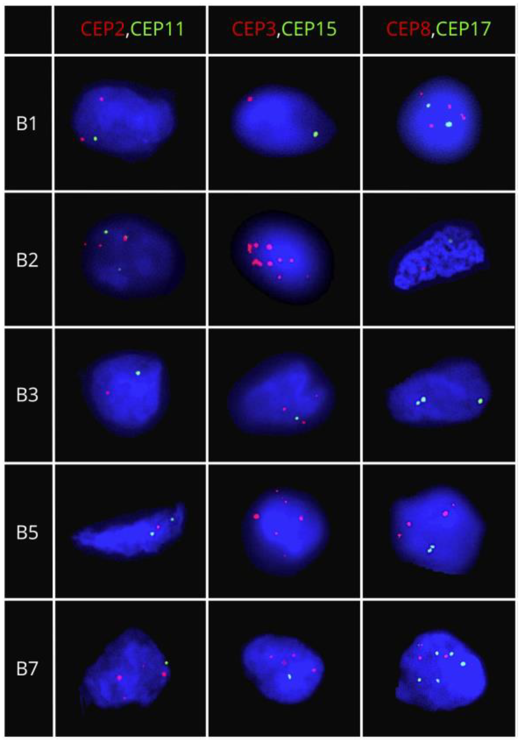 Ijms 25 04478 g002 Ijms 25 04478 g002