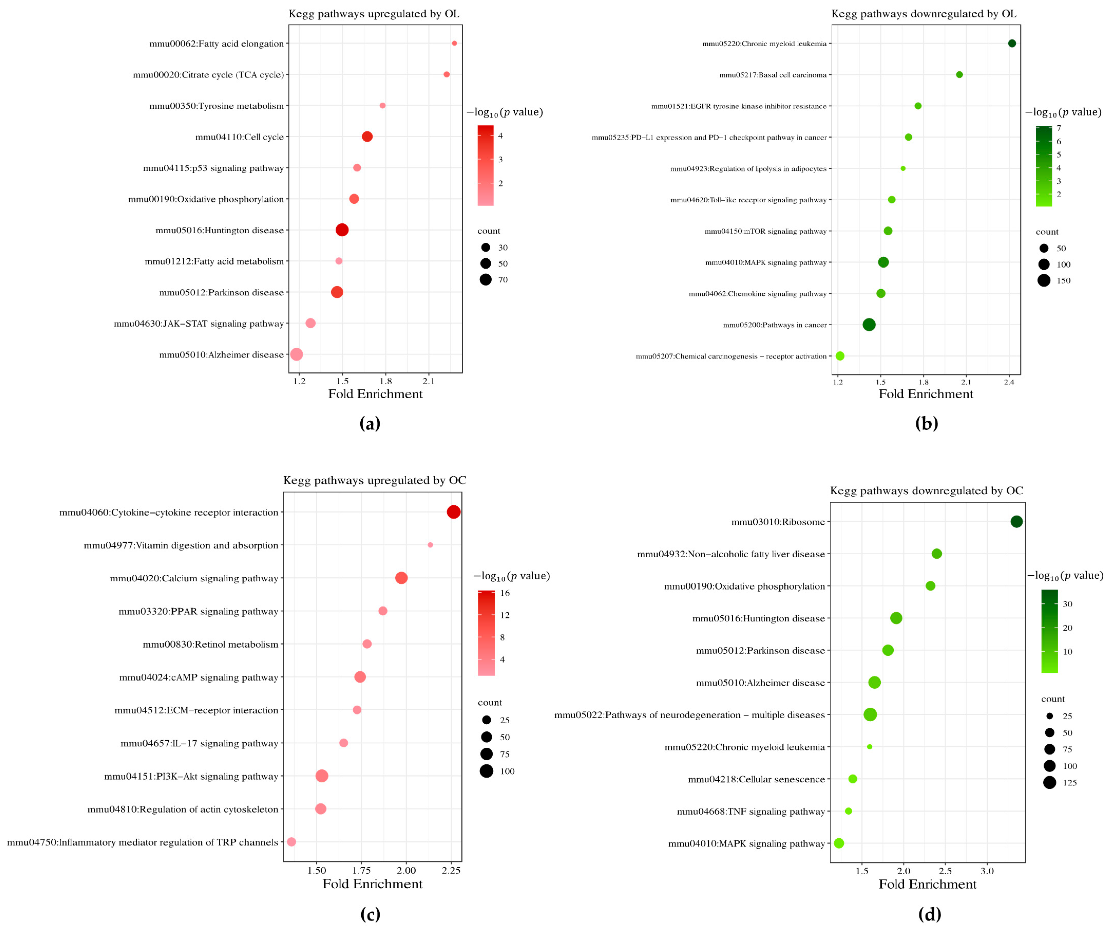 Ijms 25 04479 g003 Ijms 25 04479 g003