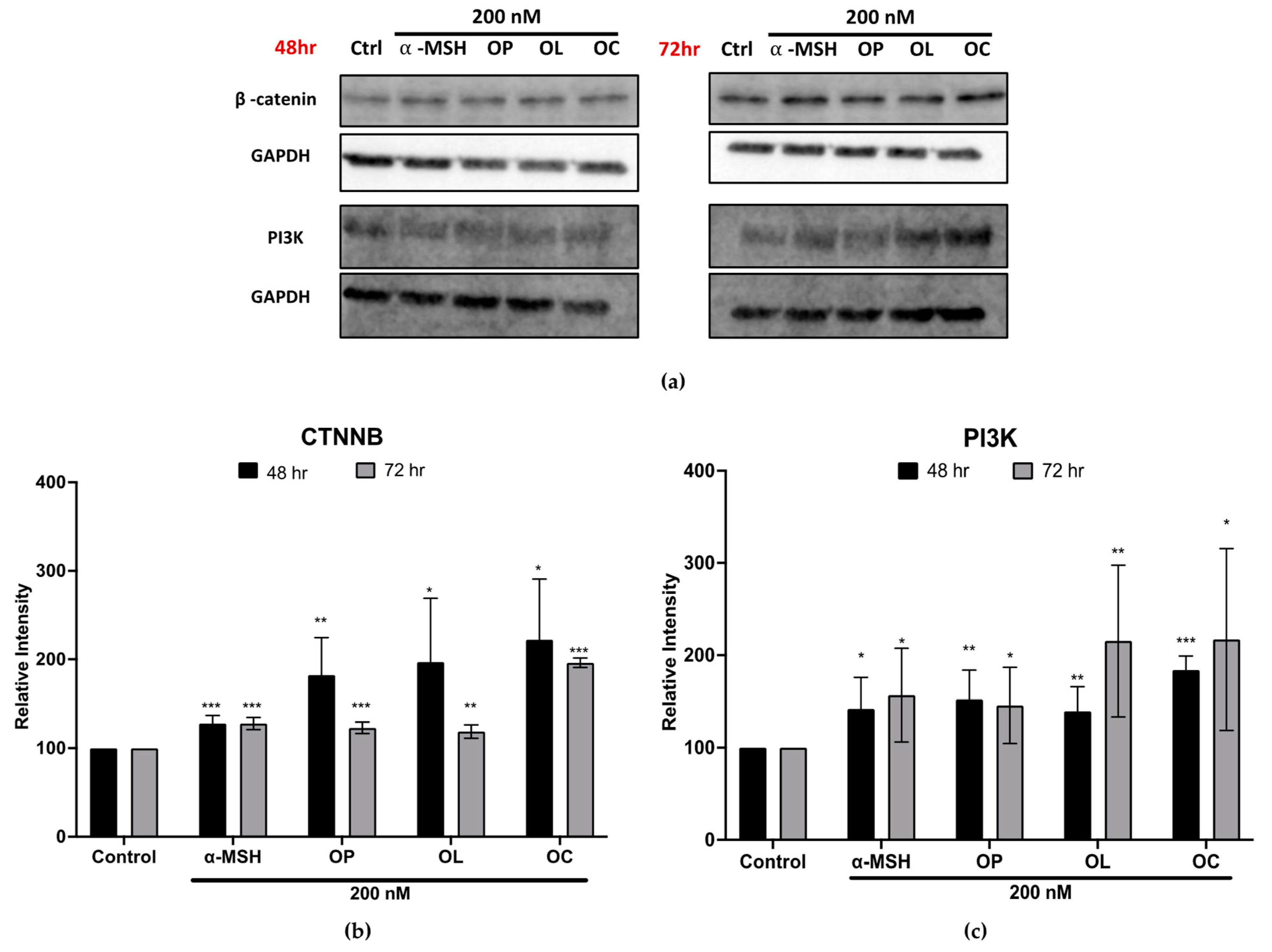 Ijms 25 04479 g008 Ijms 25 04479 g008