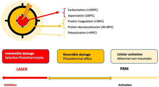 H&O bridging table case (25)（Cardiac Amyloidosis: Evolving 