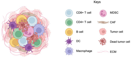 Single-Cell Informatics for Tumor Microenvironment and Immunotherapy