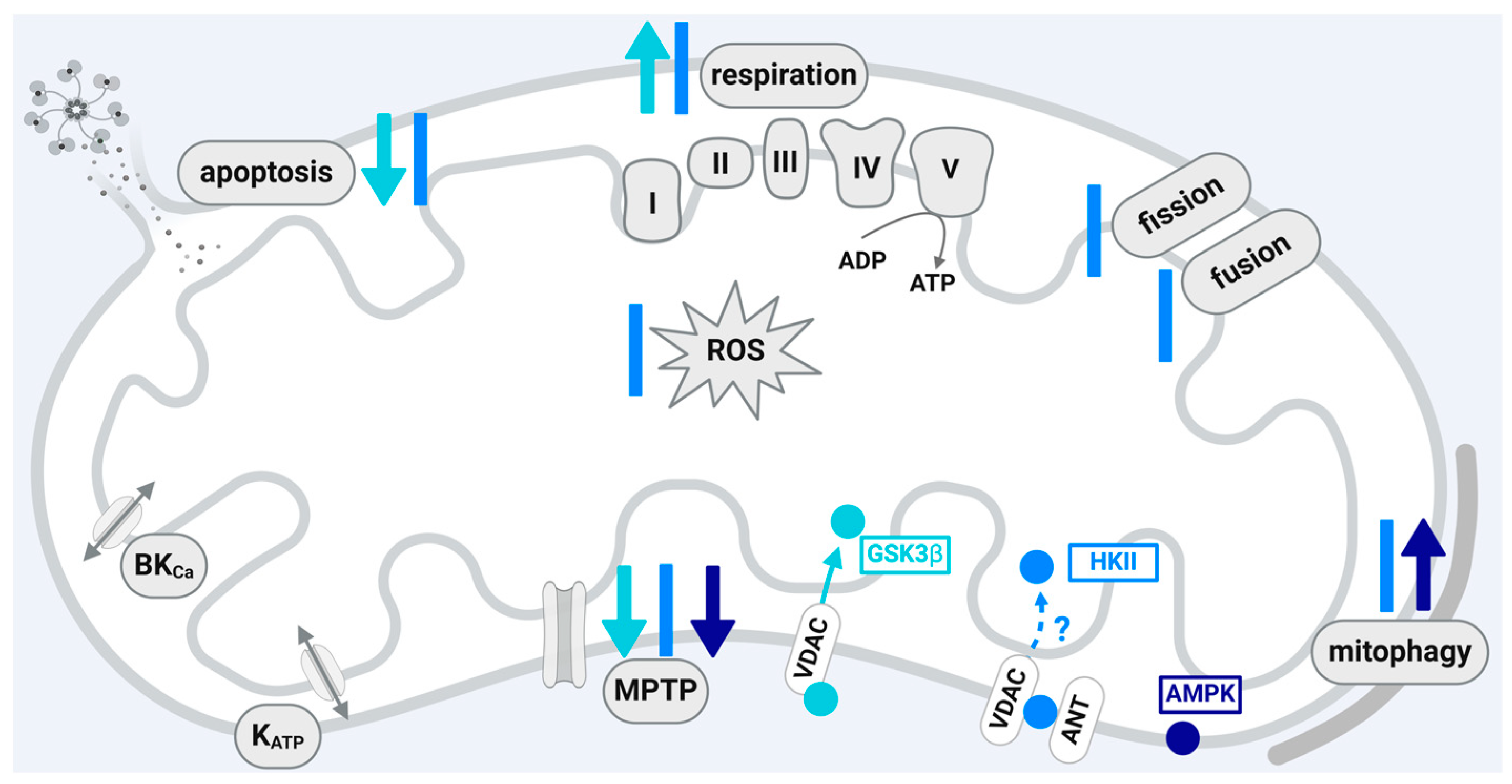 Ijms 25 04491 g003 Ijms 25 04491 g003