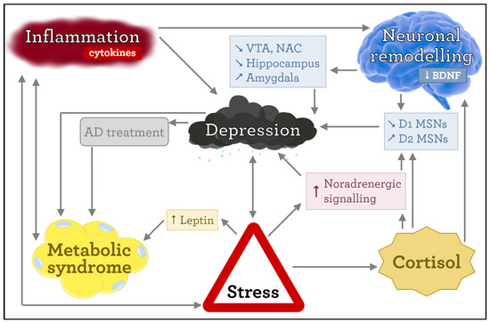 Mechanisms Involved in the Link between Depression, Antidepressant  Treatment, and Associated Weight Change