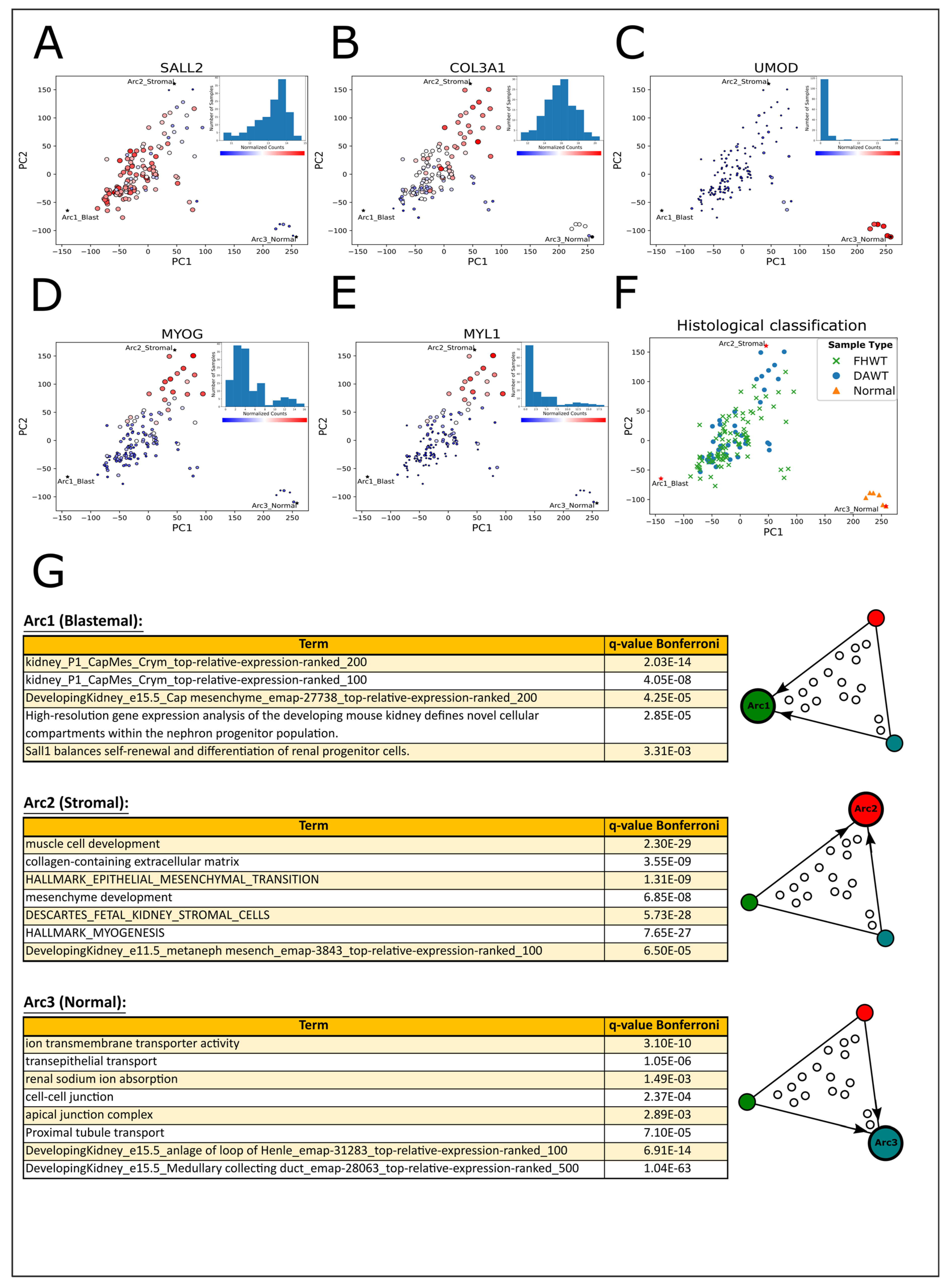 Ijms 25 04520 g001 Ijms 25 04520 g001