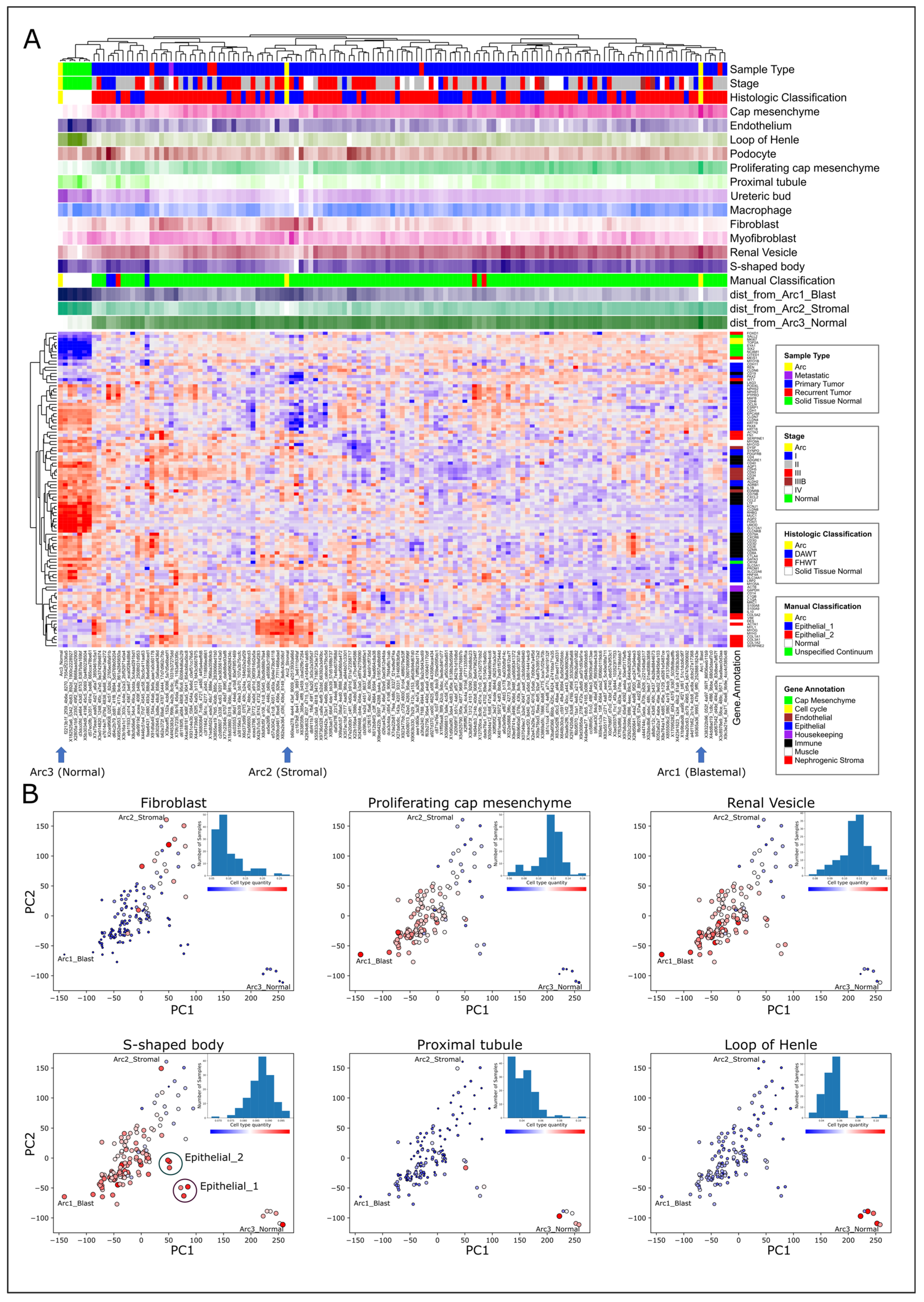 Ijms 25 04520 g002 Ijms 25 04520 g002