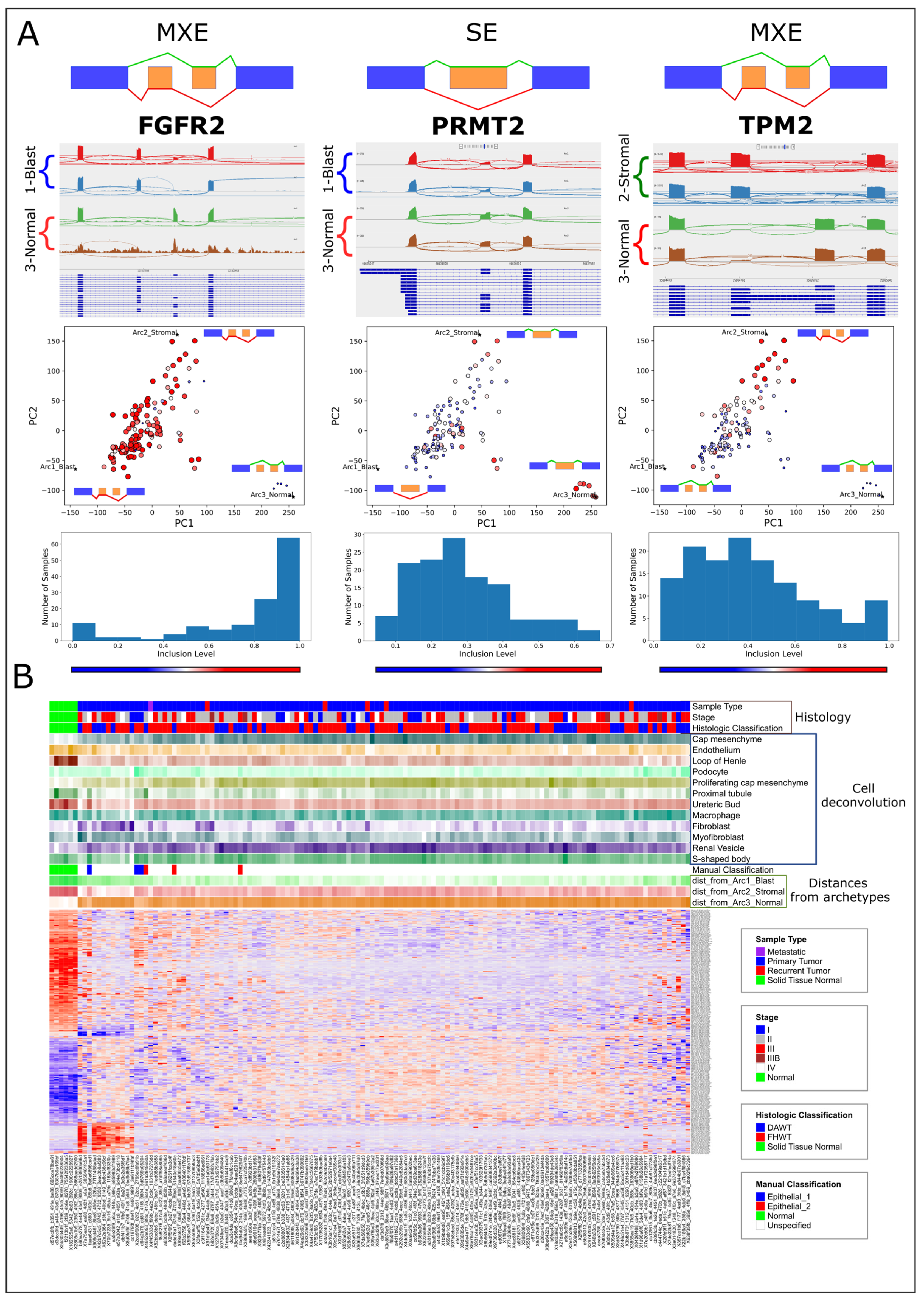 Ijms 25 04520 g003 Ijms 25 04520 g003