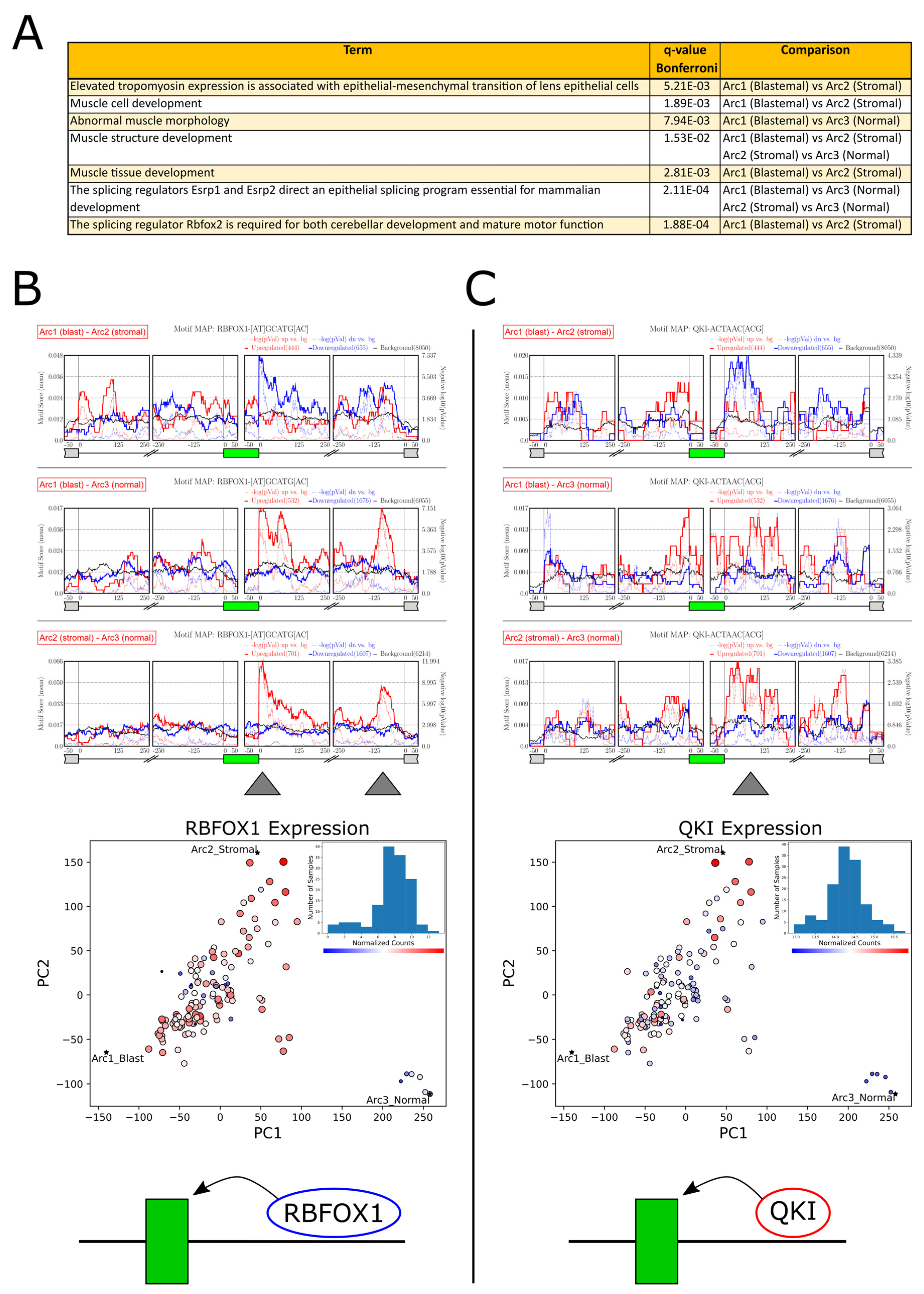 Ijms 25 04520 g004 Ijms 25 04520 g004