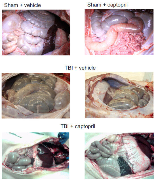 スネーク 20 in. Magnesium Oxide Outdoor Gas Fire Pit Table, 32000 BTU Fire