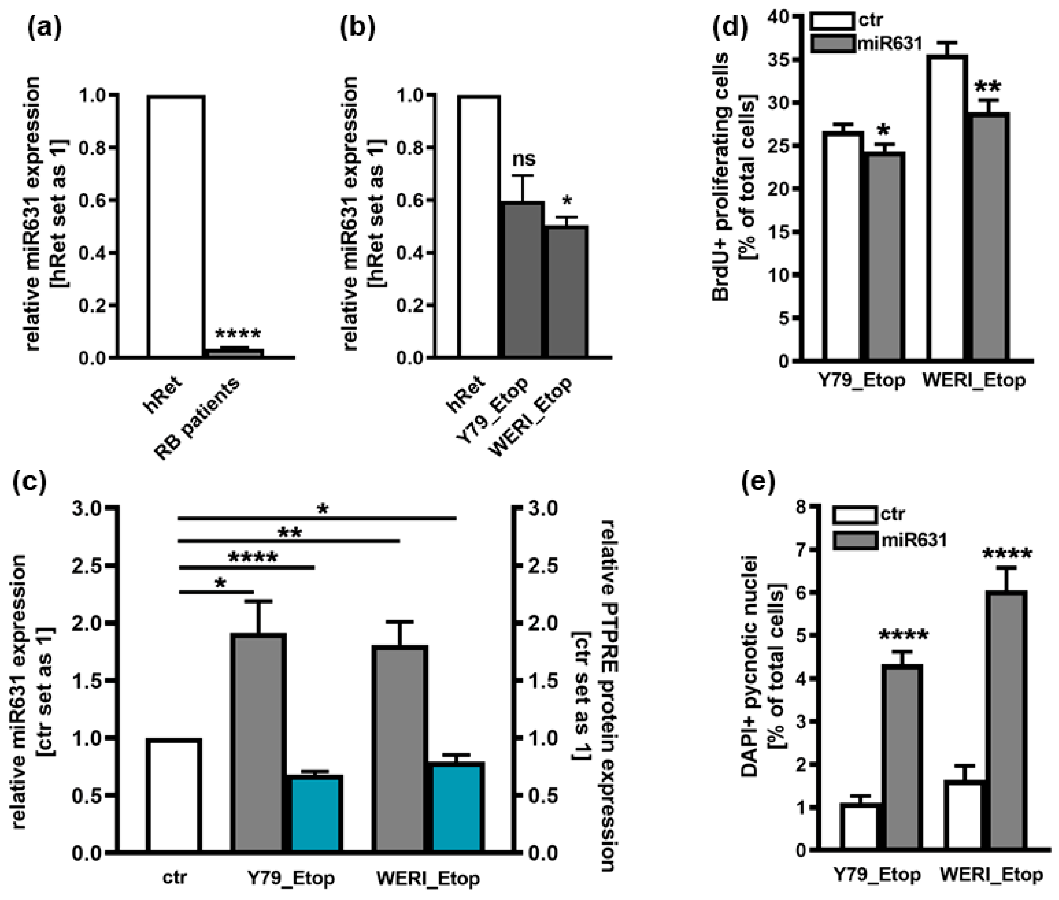 Ijms 25 04572 g004 Ijms 25 04572 g004