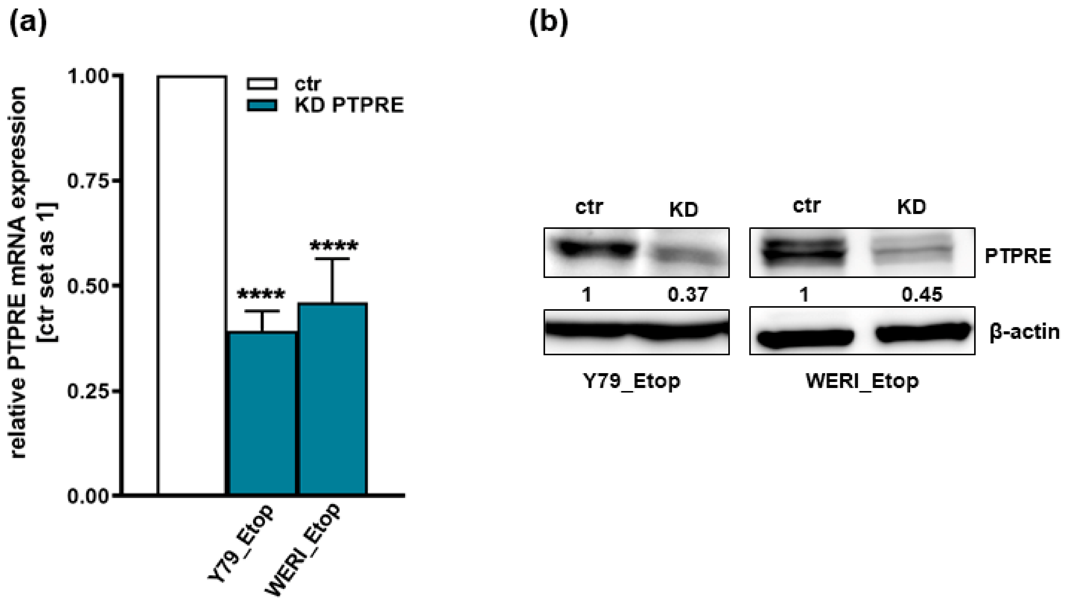 Ijms 25 04572 g006 Ijms 25 04572 g006