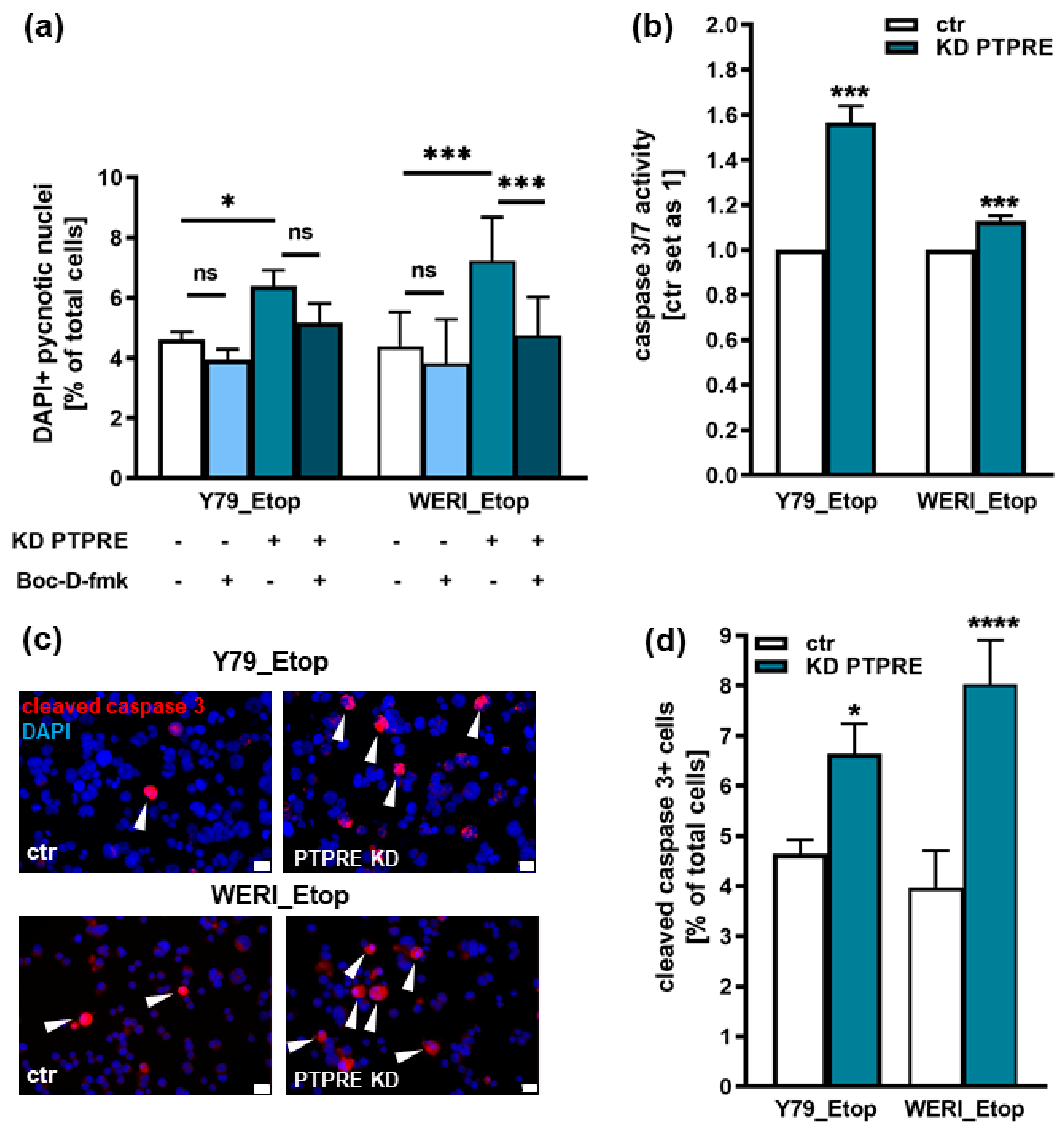 Ijms 25 04572 g008 Ijms 25 04572 g008