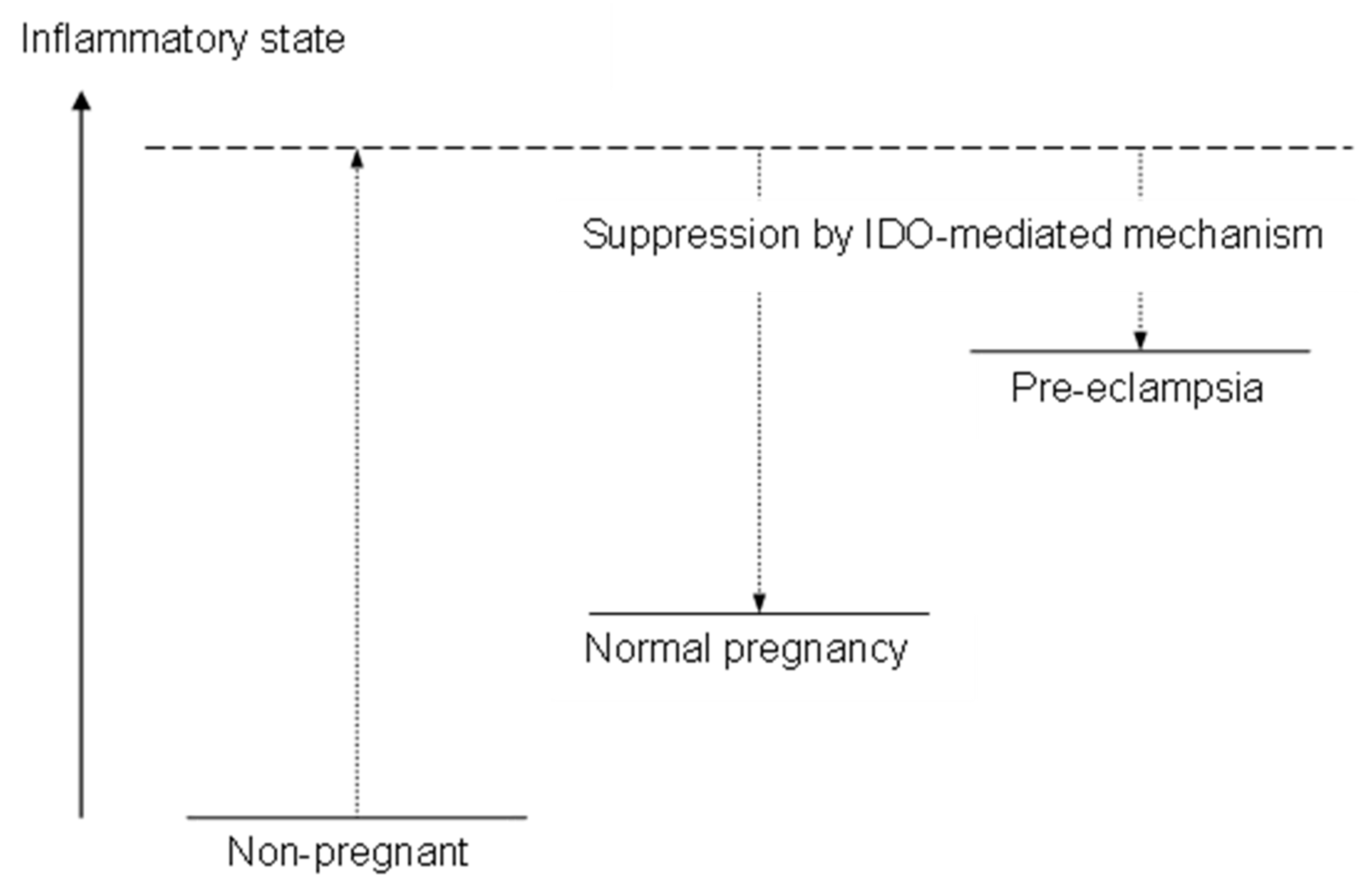Ijms 25 04577 g005 Ijms 25 04577 g005