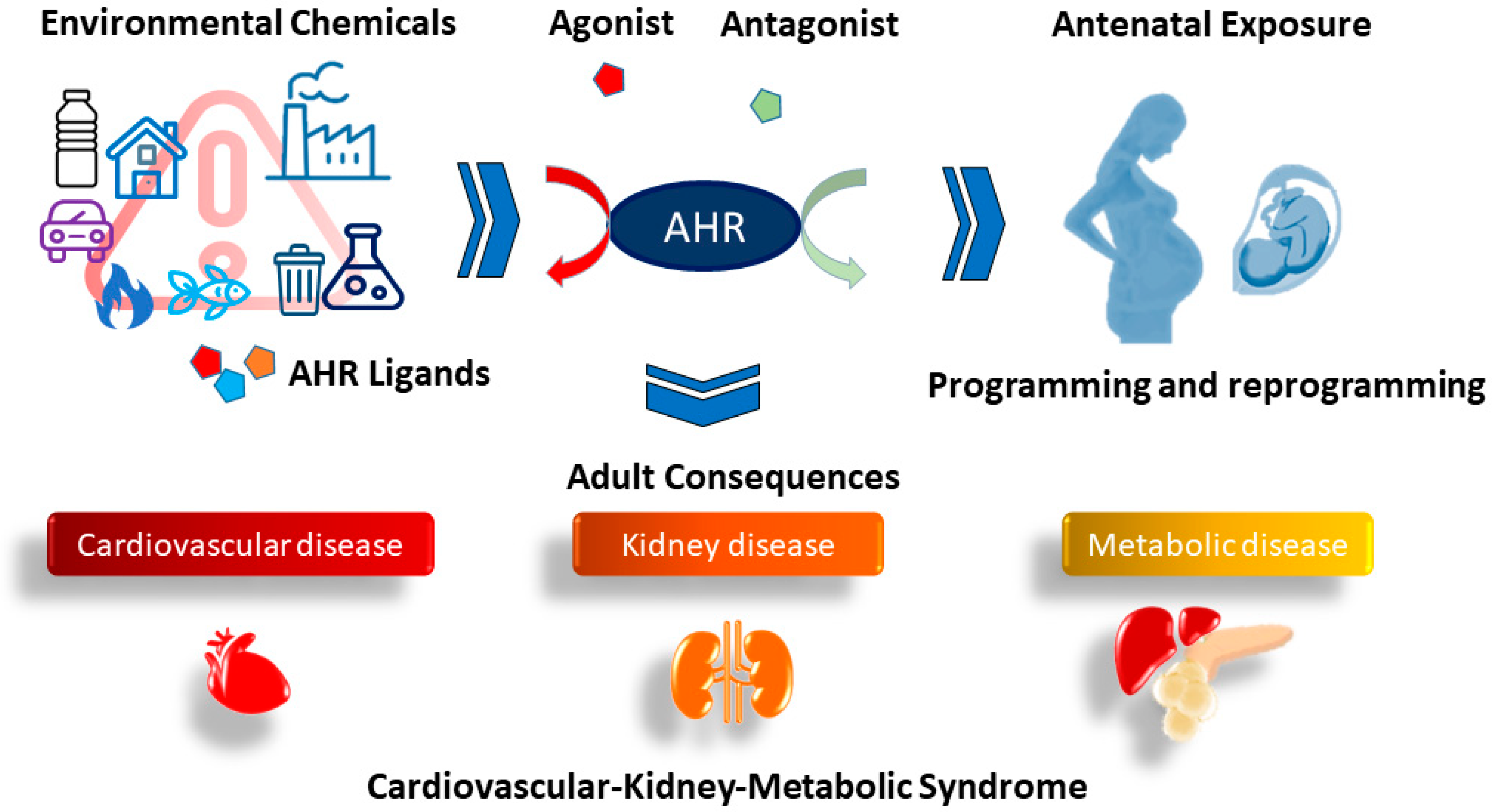 Ijms 25 04599 g003 Ijms 25 04599 g003