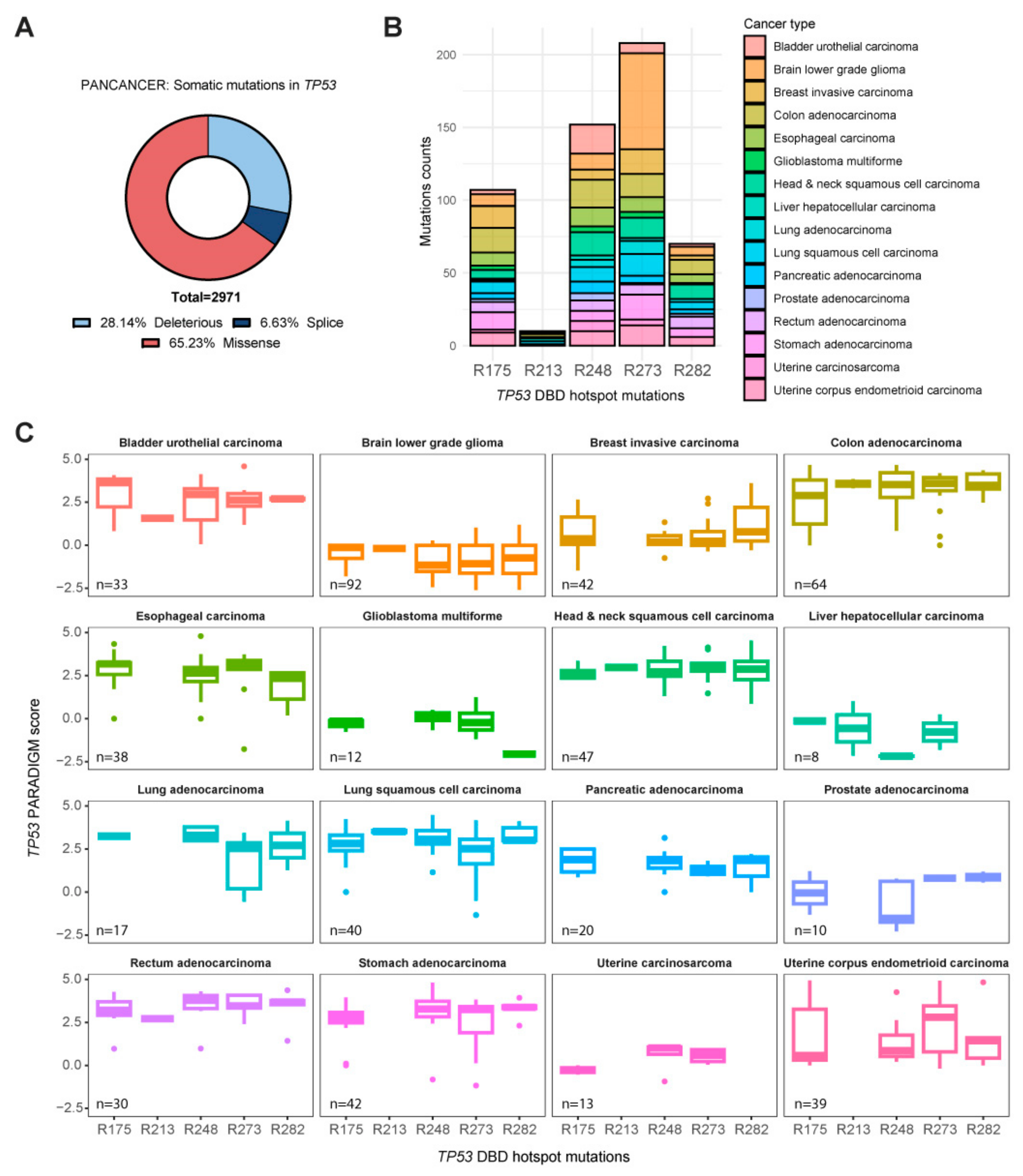 Ijms 25 04600 g001 Ijms 25 04600 g001