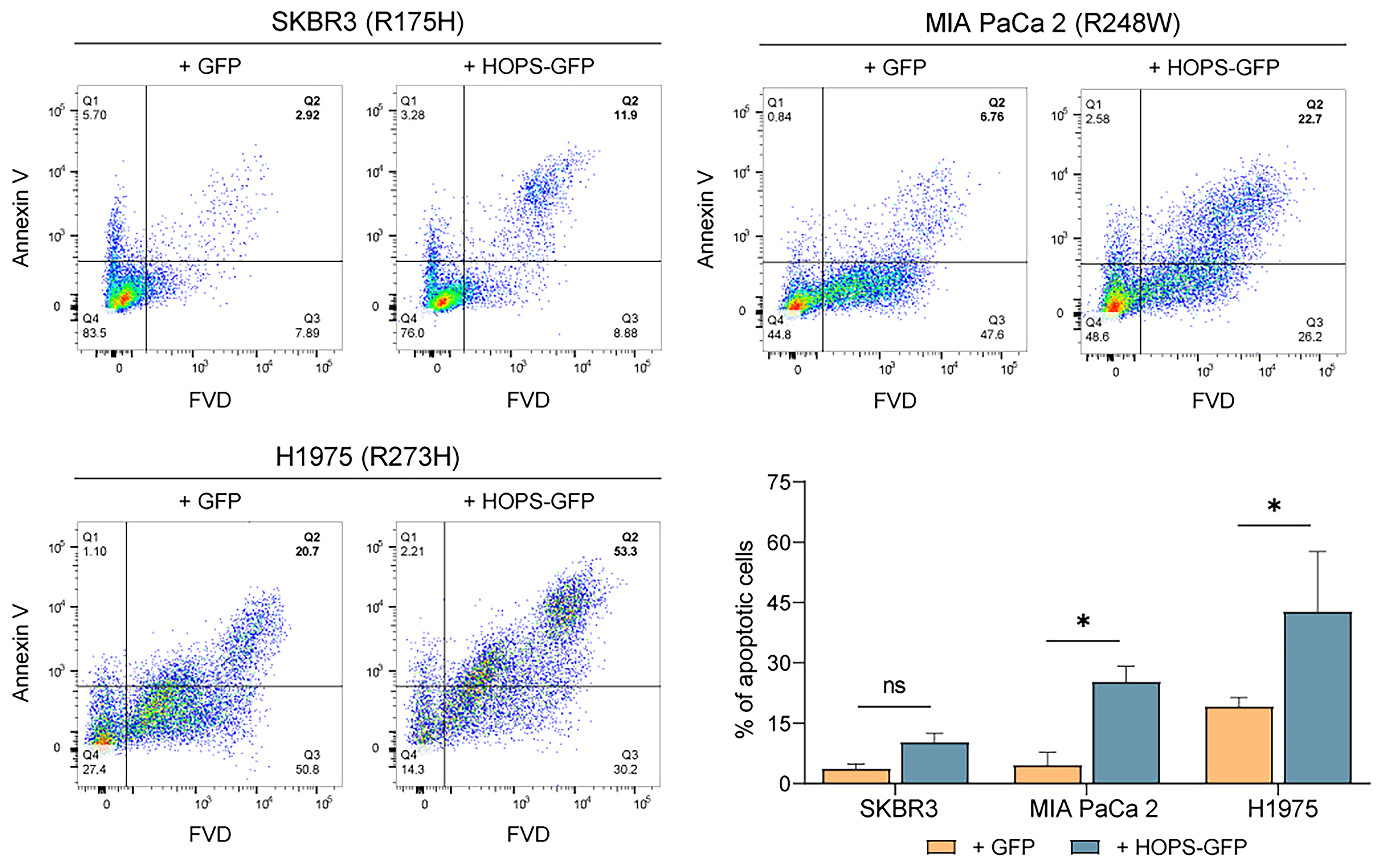 Ijms 25 04600 g002 Ijms 25 04600 g002