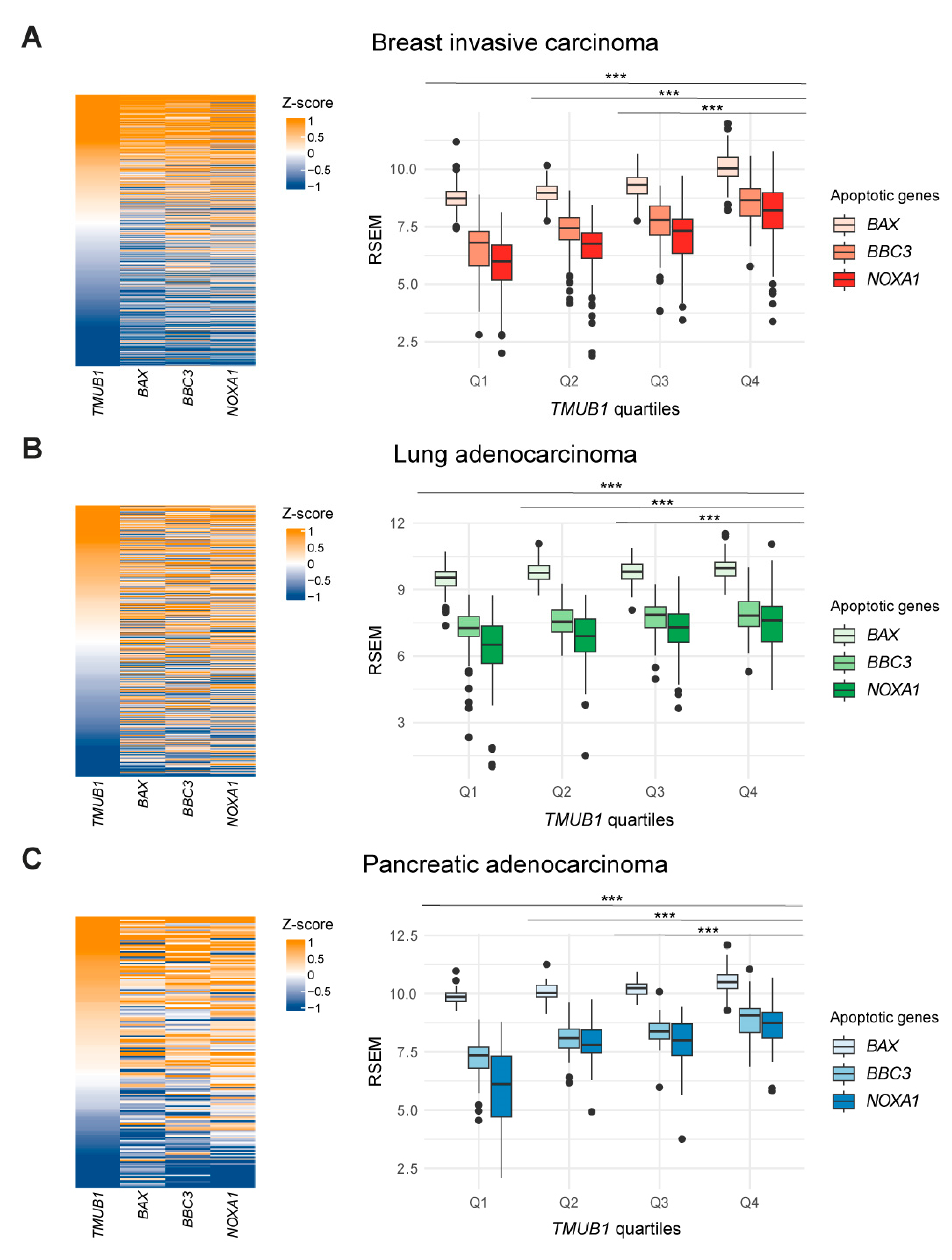 Ijms 25 04600 g006 Ijms 25 04600 g006