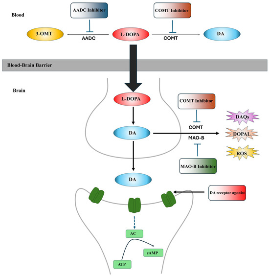 【ケム】 Electronic modulation of sprout-shaped NiCoP nanoarrays by N