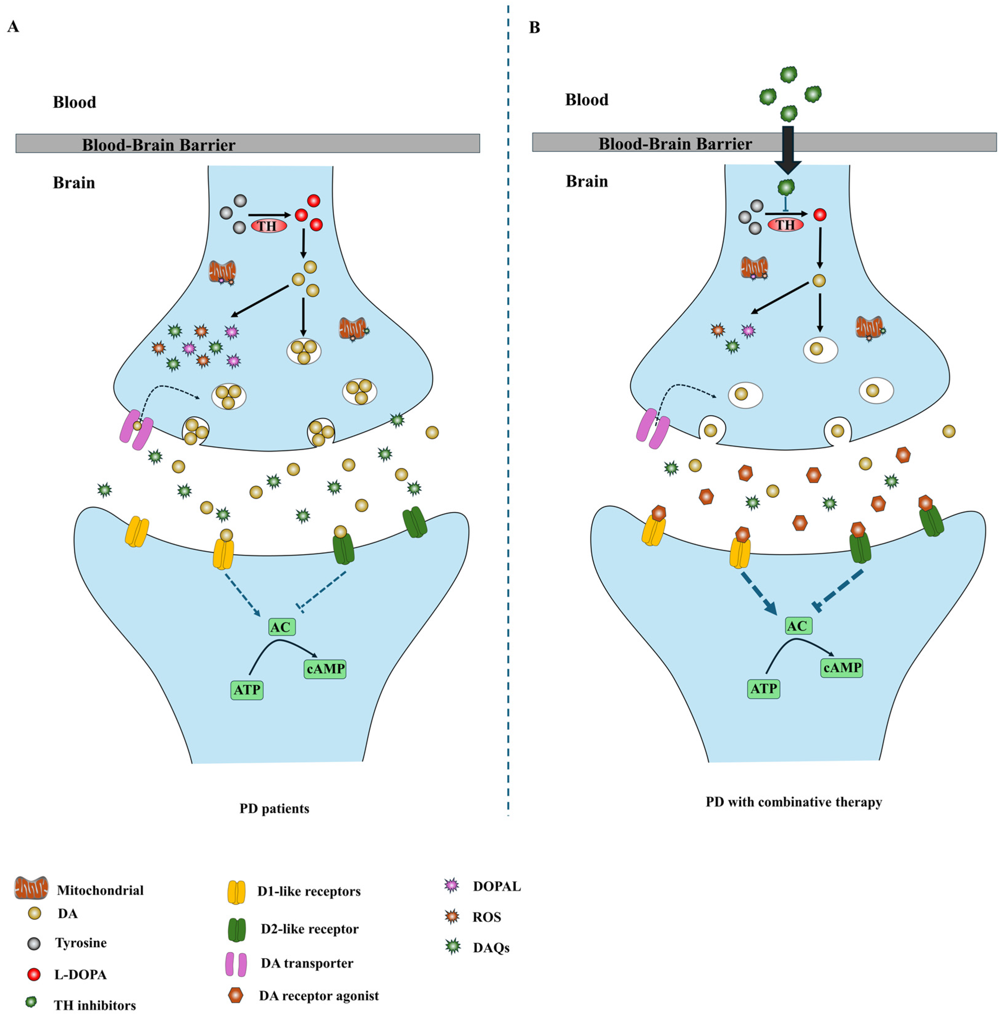上品な Inhibitors Hydroxylase Tyrosine and Receptor Dopamine Salopet Overall All -In -One