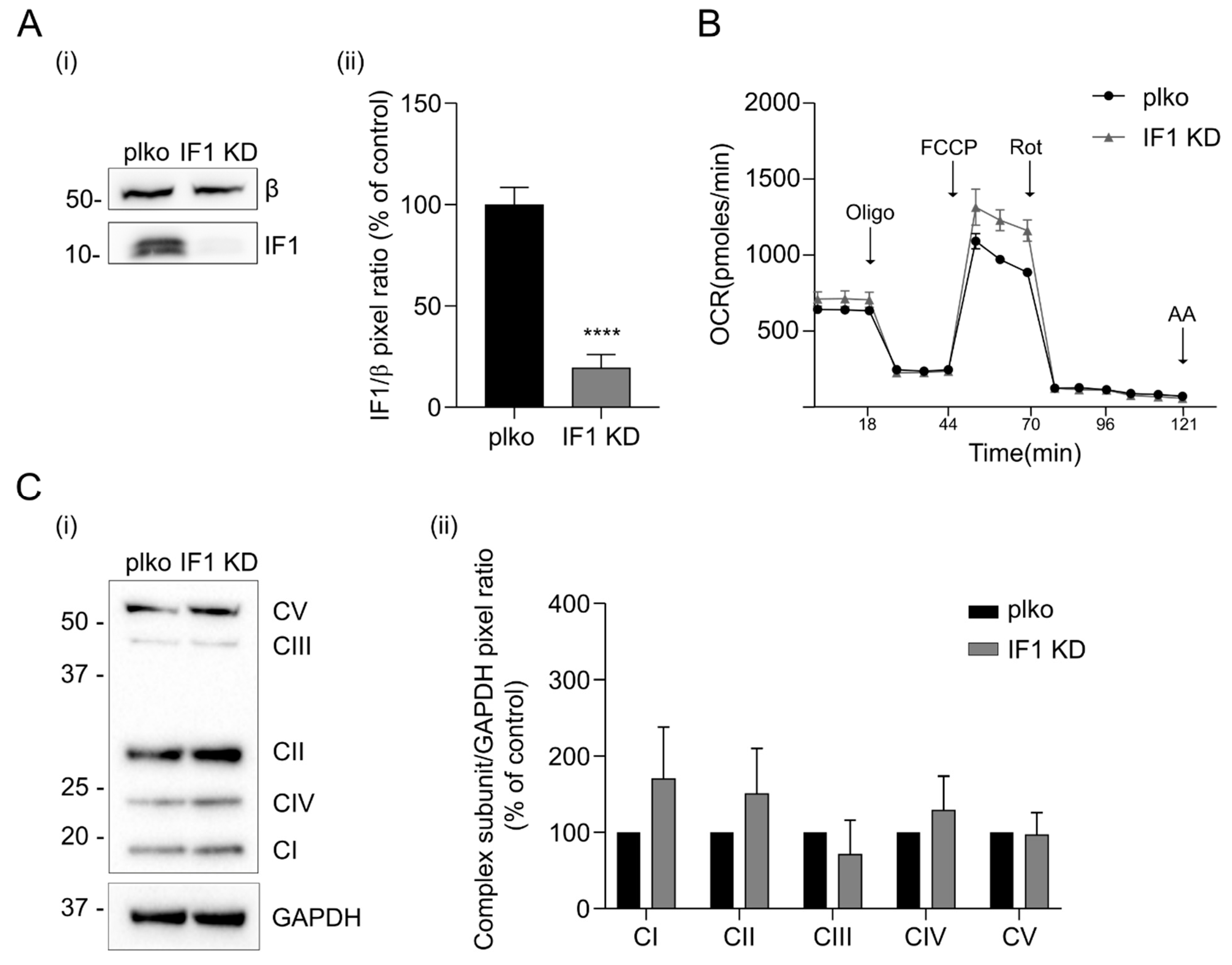 Ijms 25 04655 g004 Ijms 25 04655 g004