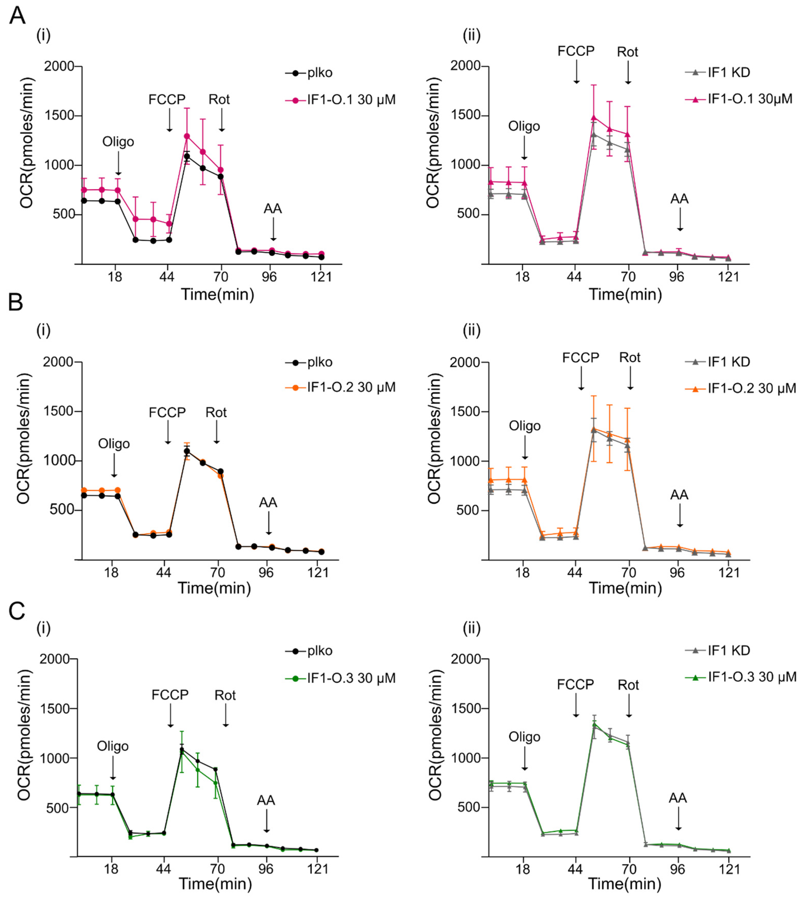 Ijms 25 04655 g005 Ijms 25 04655 g005