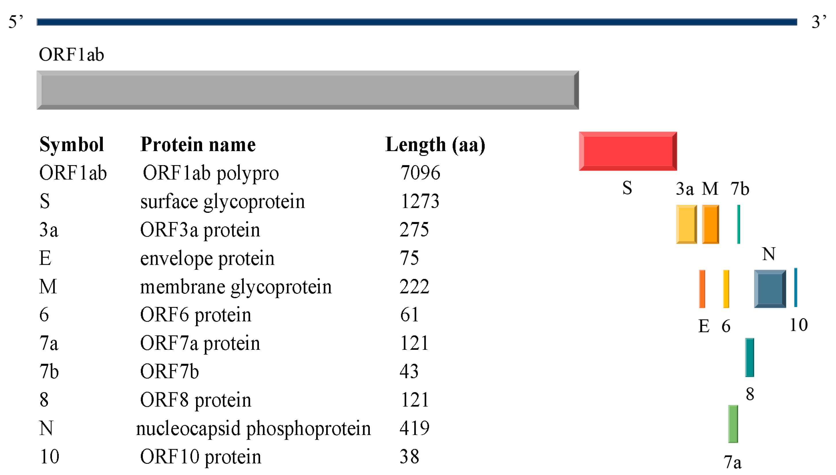 Ijms 25 04662 g001 Ijms 25 04662 g001