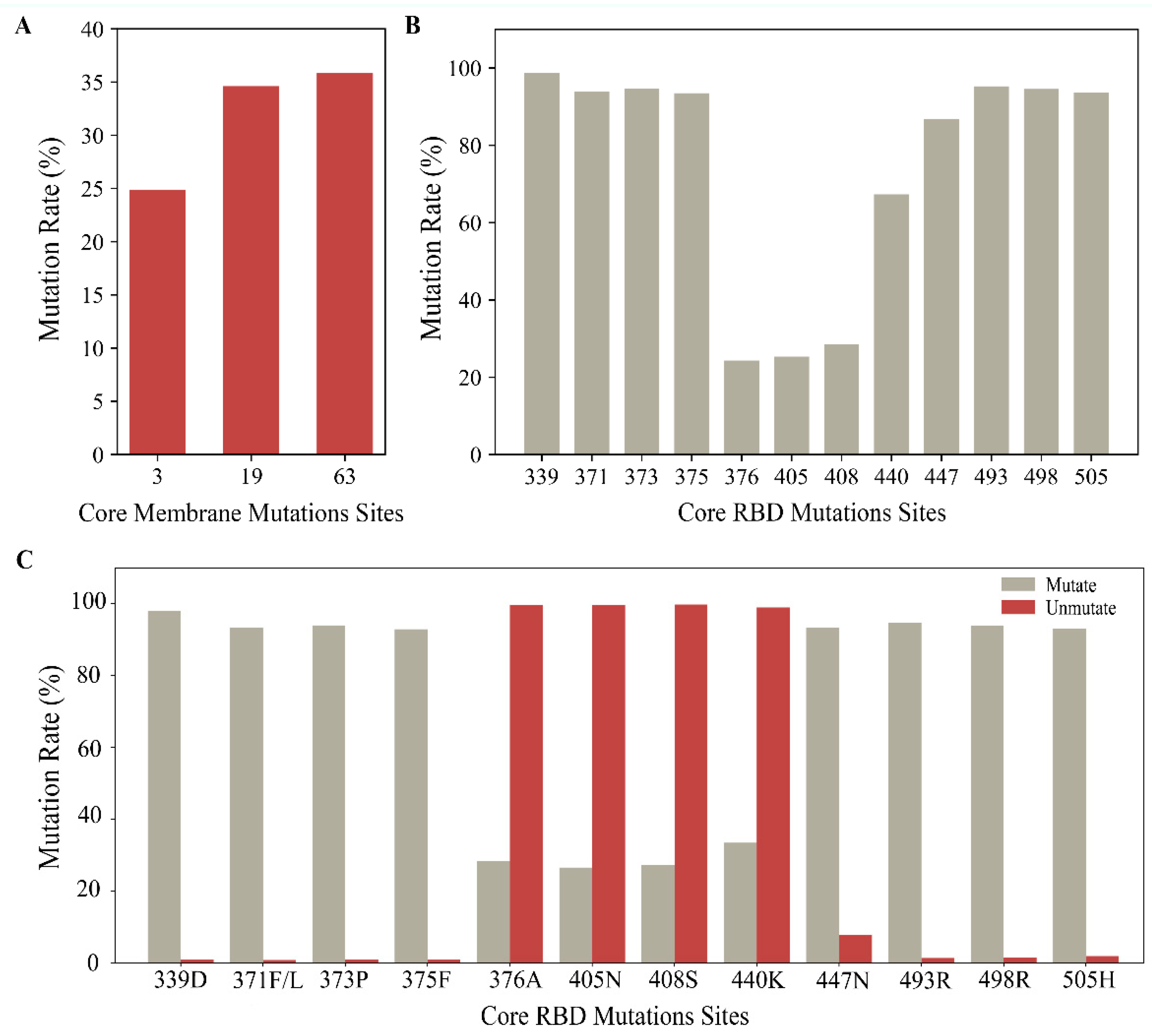 Ijms 25 04662 g002 Ijms 25 04662 g002