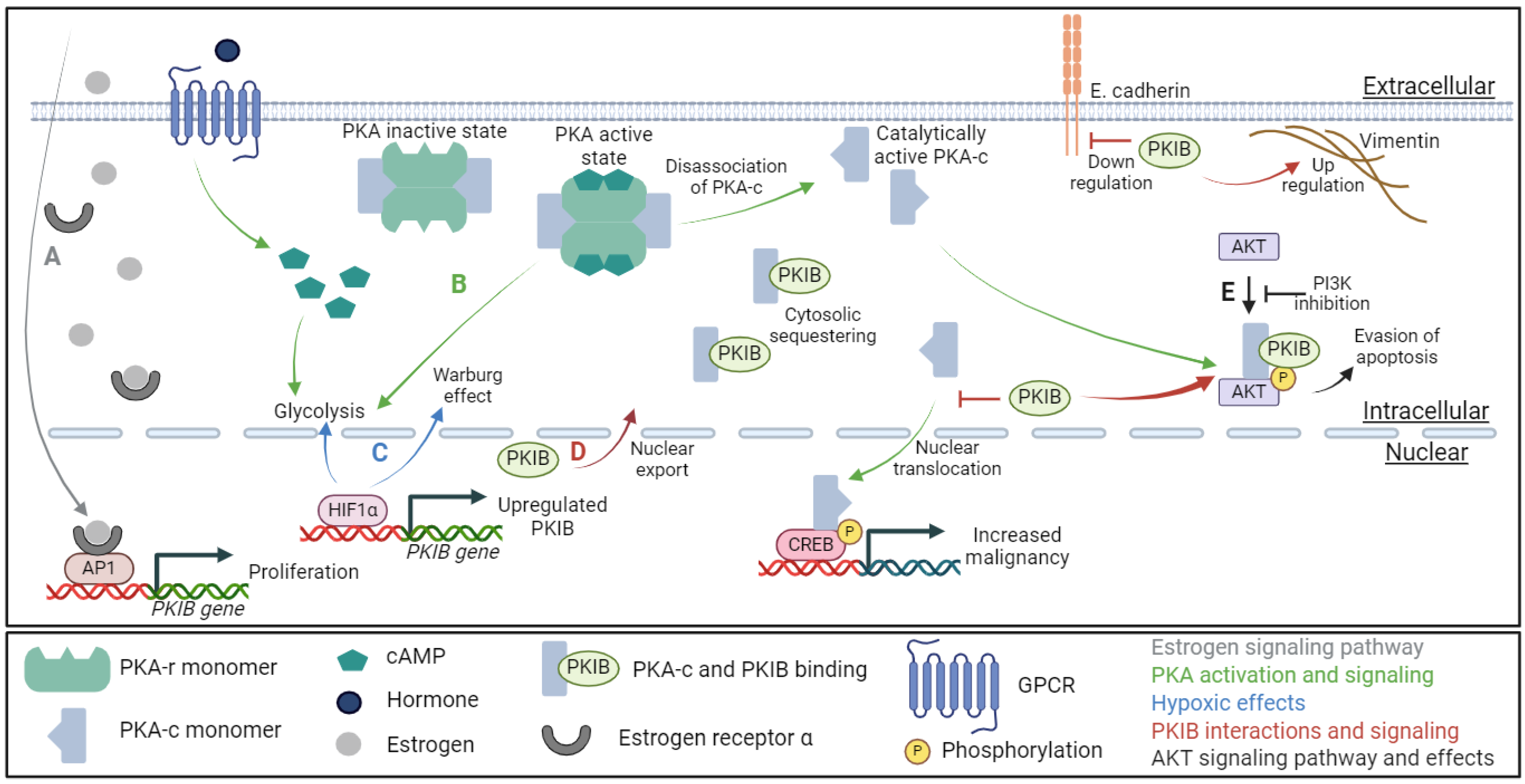 Ijms 25 04664 g002 Ijms 25 04664 g002