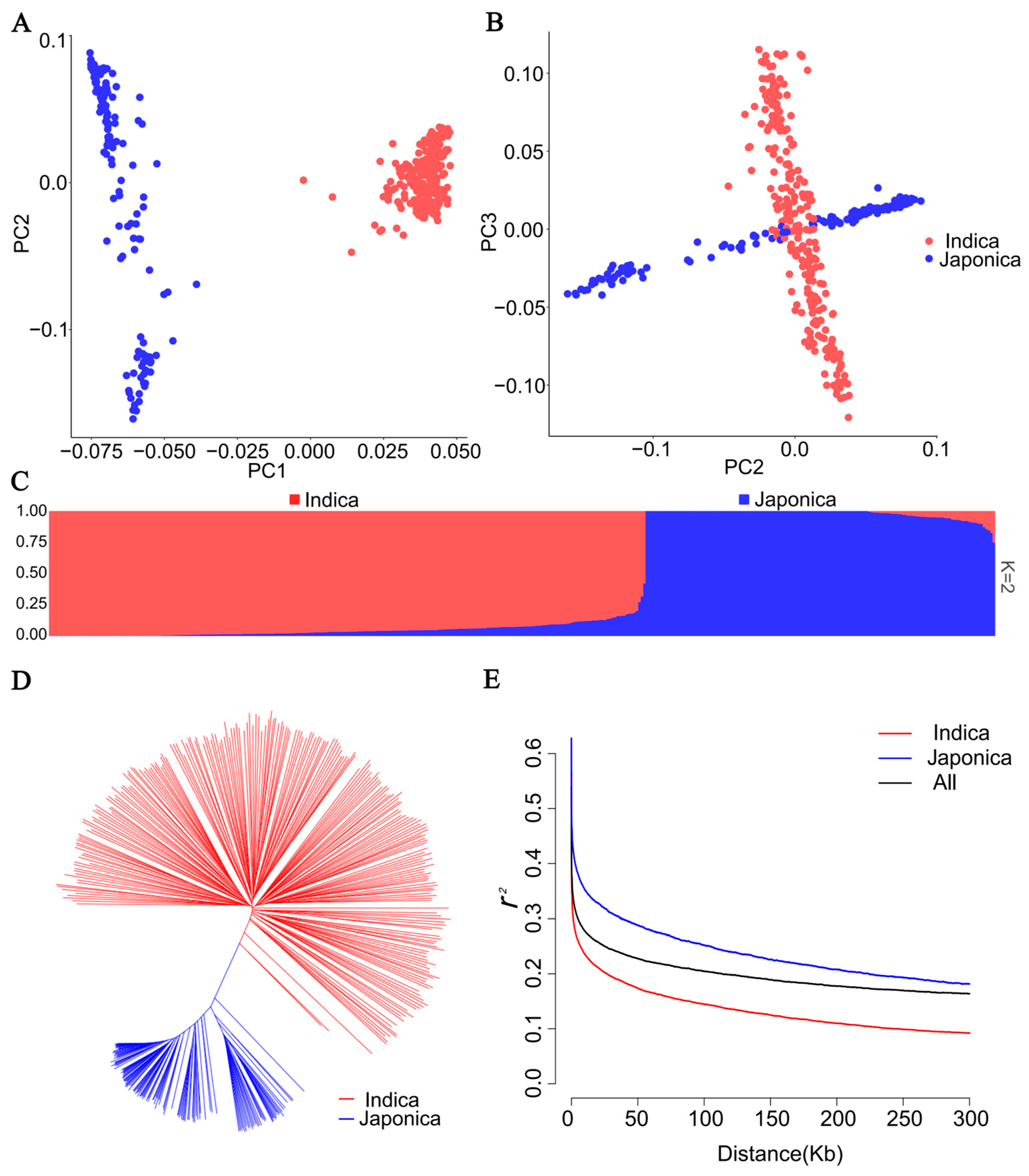 Ijms 25 04667 g002 Ijms 25 04667 g002