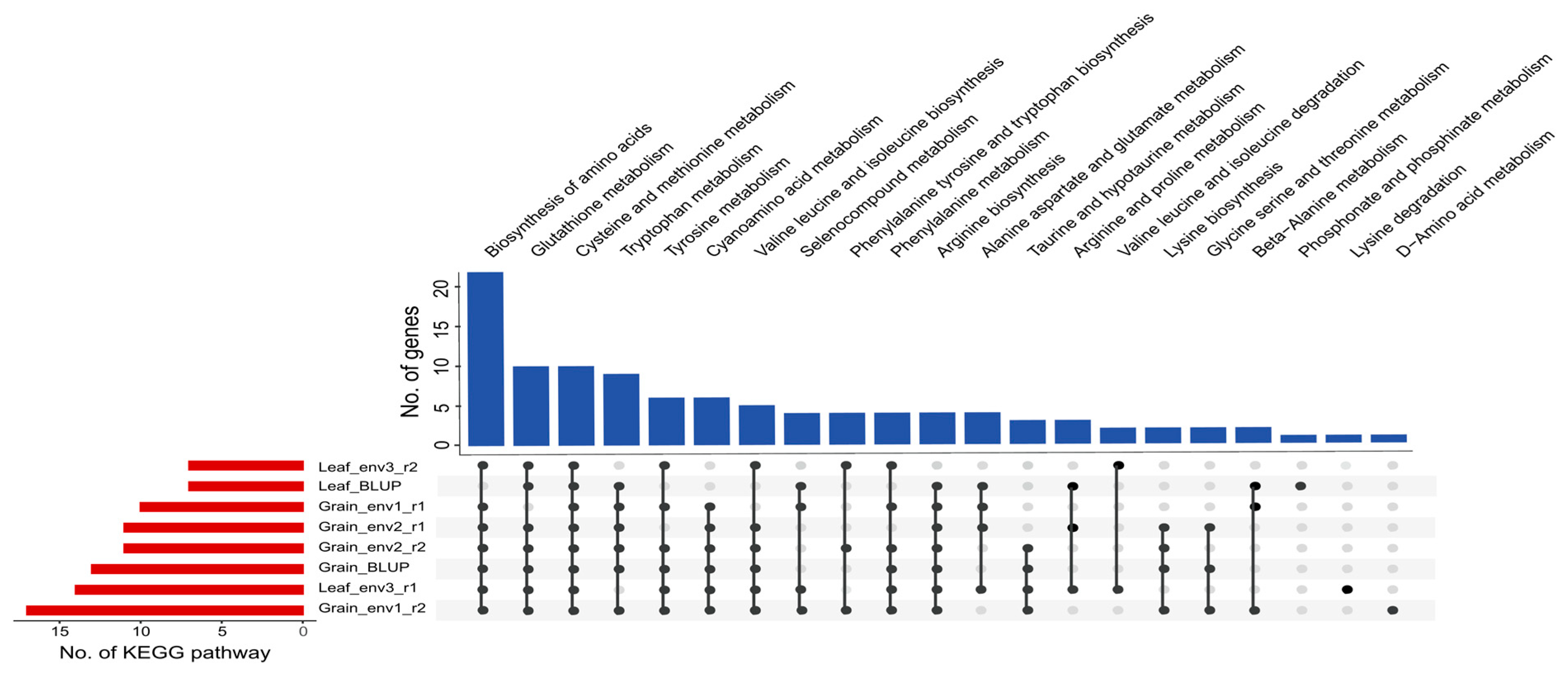 Ijms 25 04667 g003 Ijms 25 04667 g003