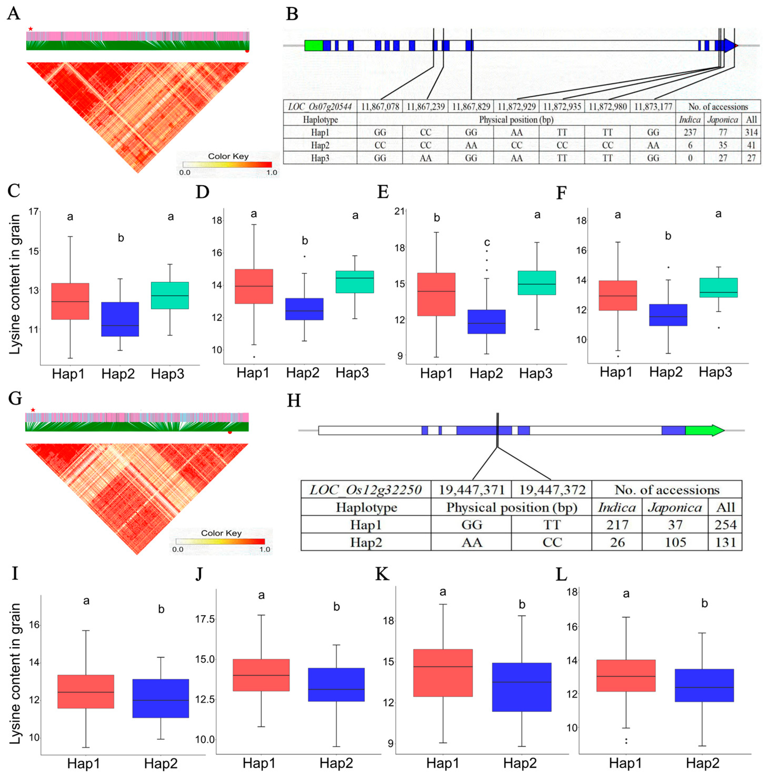 Ijms 25 04667 g004 Ijms 25 04667 g004