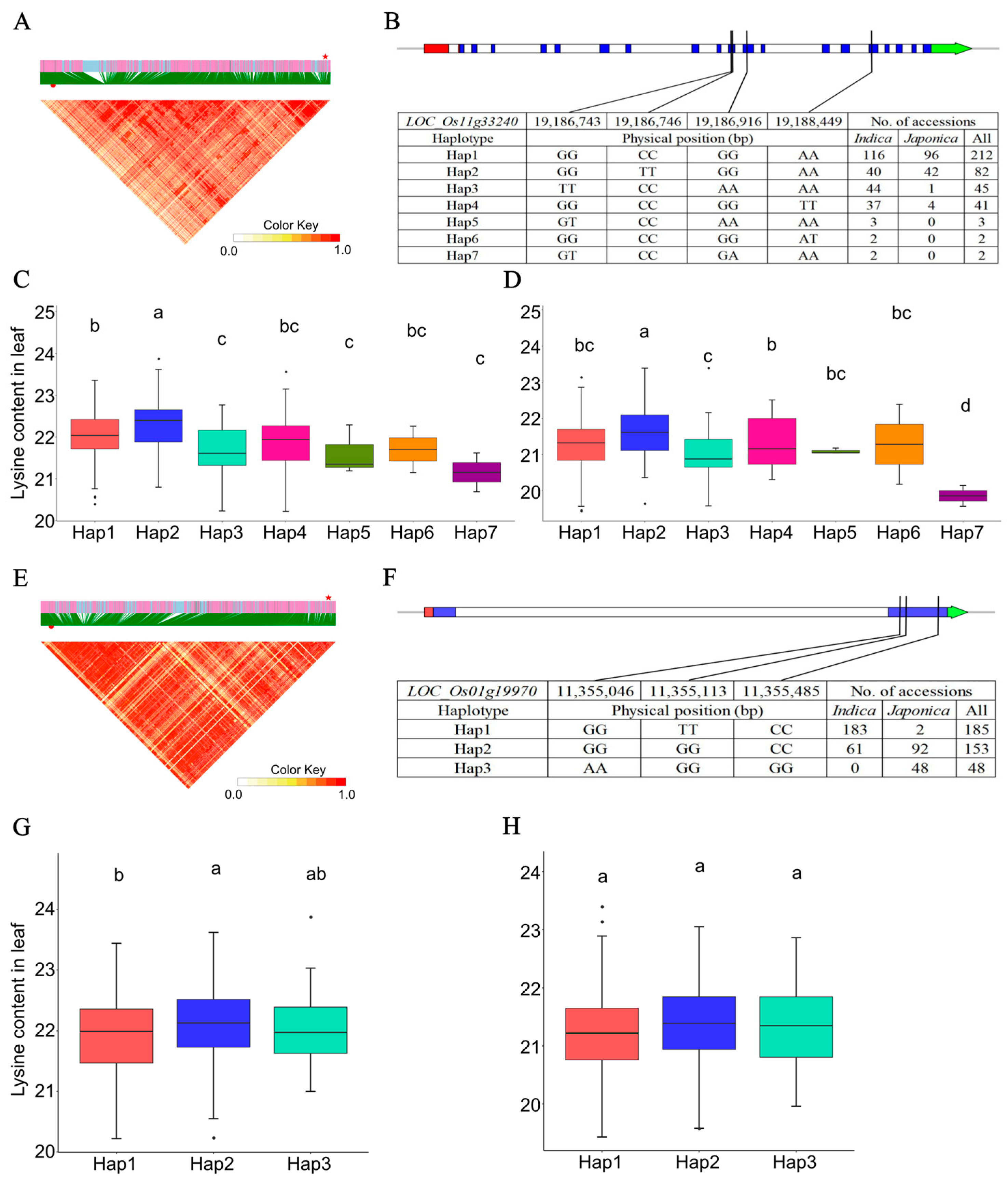 Ijms 25 04667 g005 Ijms 25 04667 g005