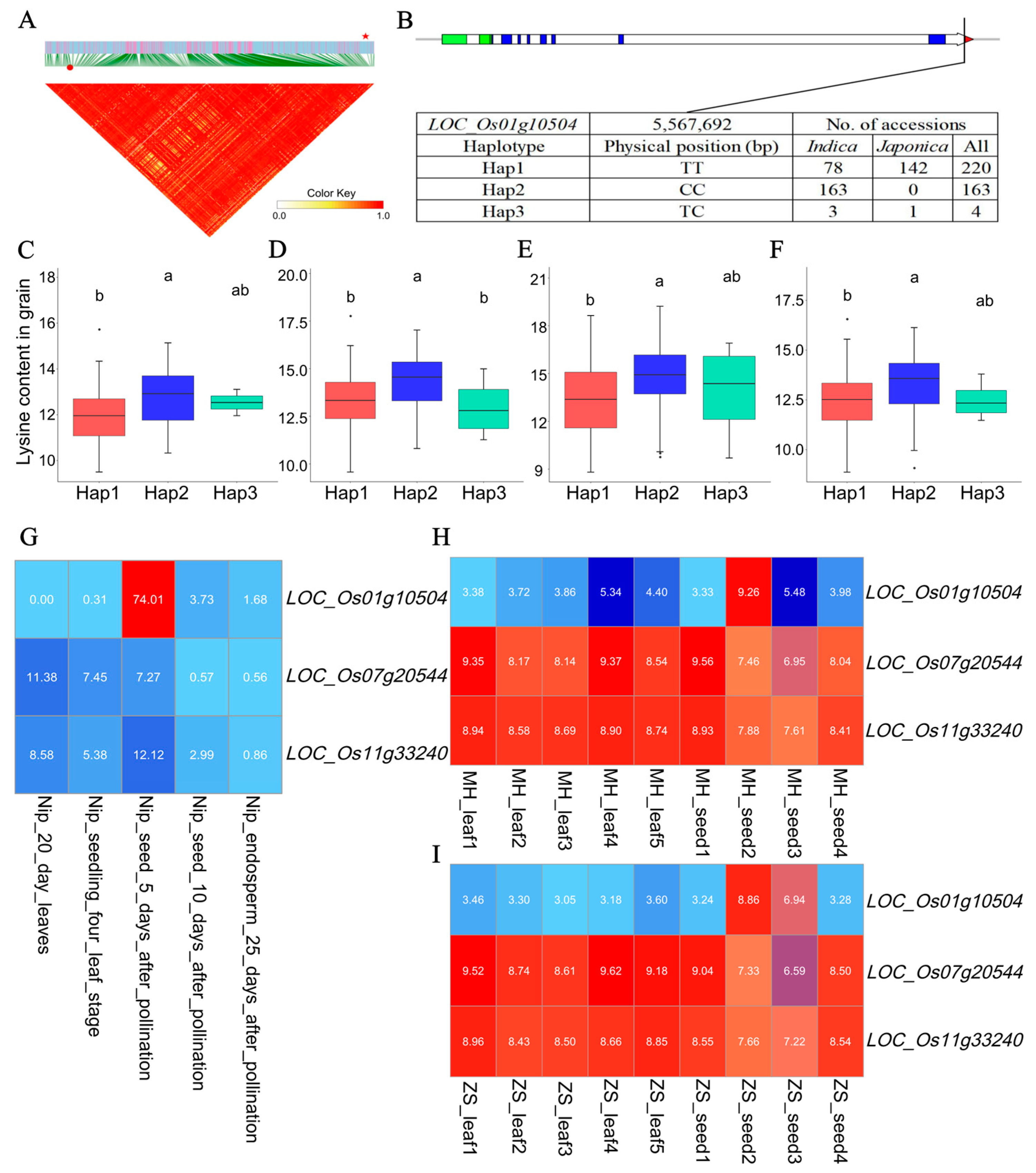 Ijms 25 04667 g006 Ijms 25 04667 g006