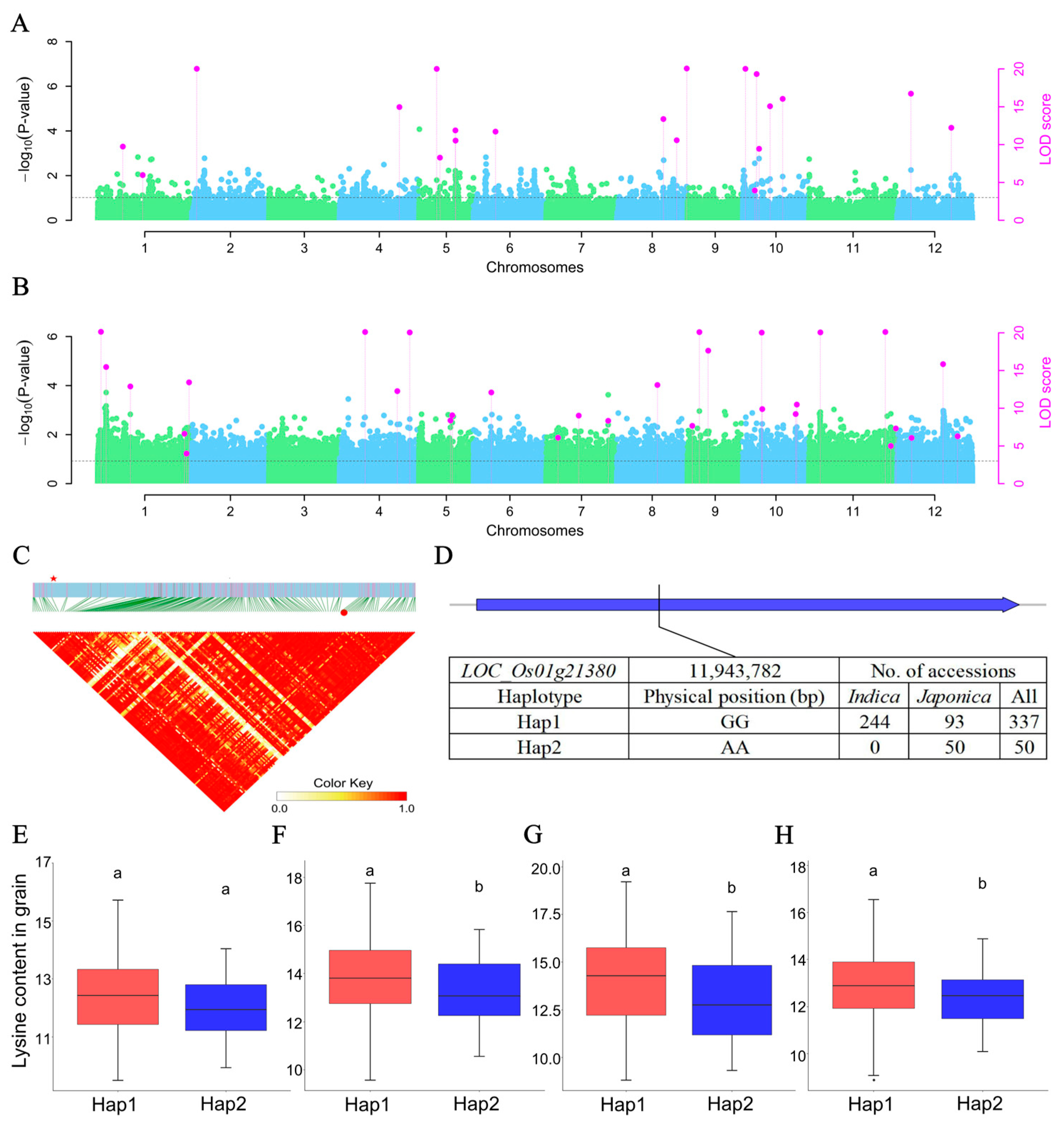 Ijms 25 04667 g007 Ijms 25 04667 g007