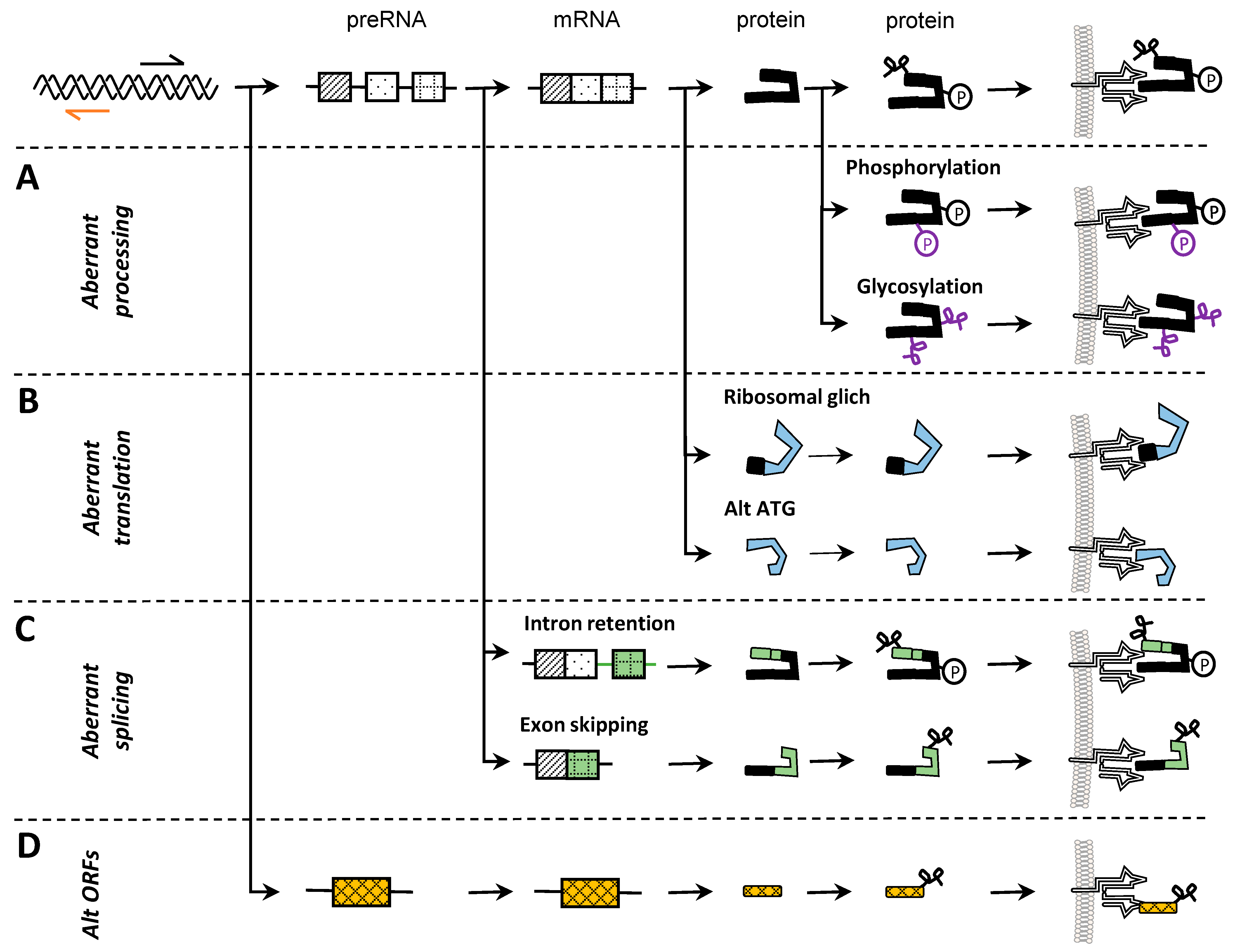 Ijms 25 04673 g002 Ijms 25 04673 g002