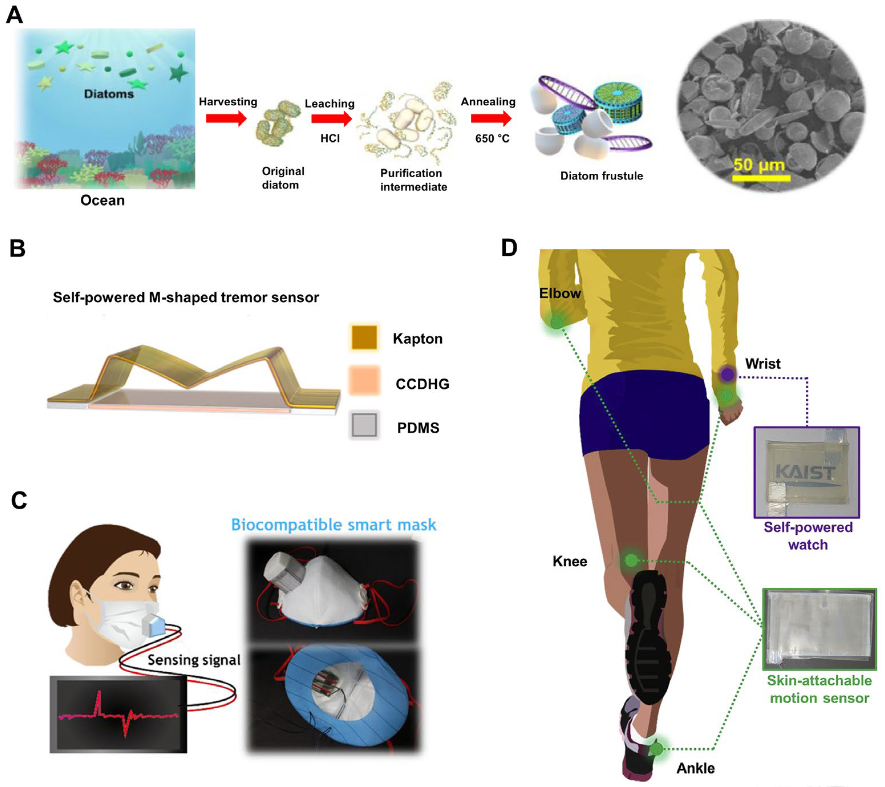 Biominerals and Bioinspired Materials in Biosensing: Recent 