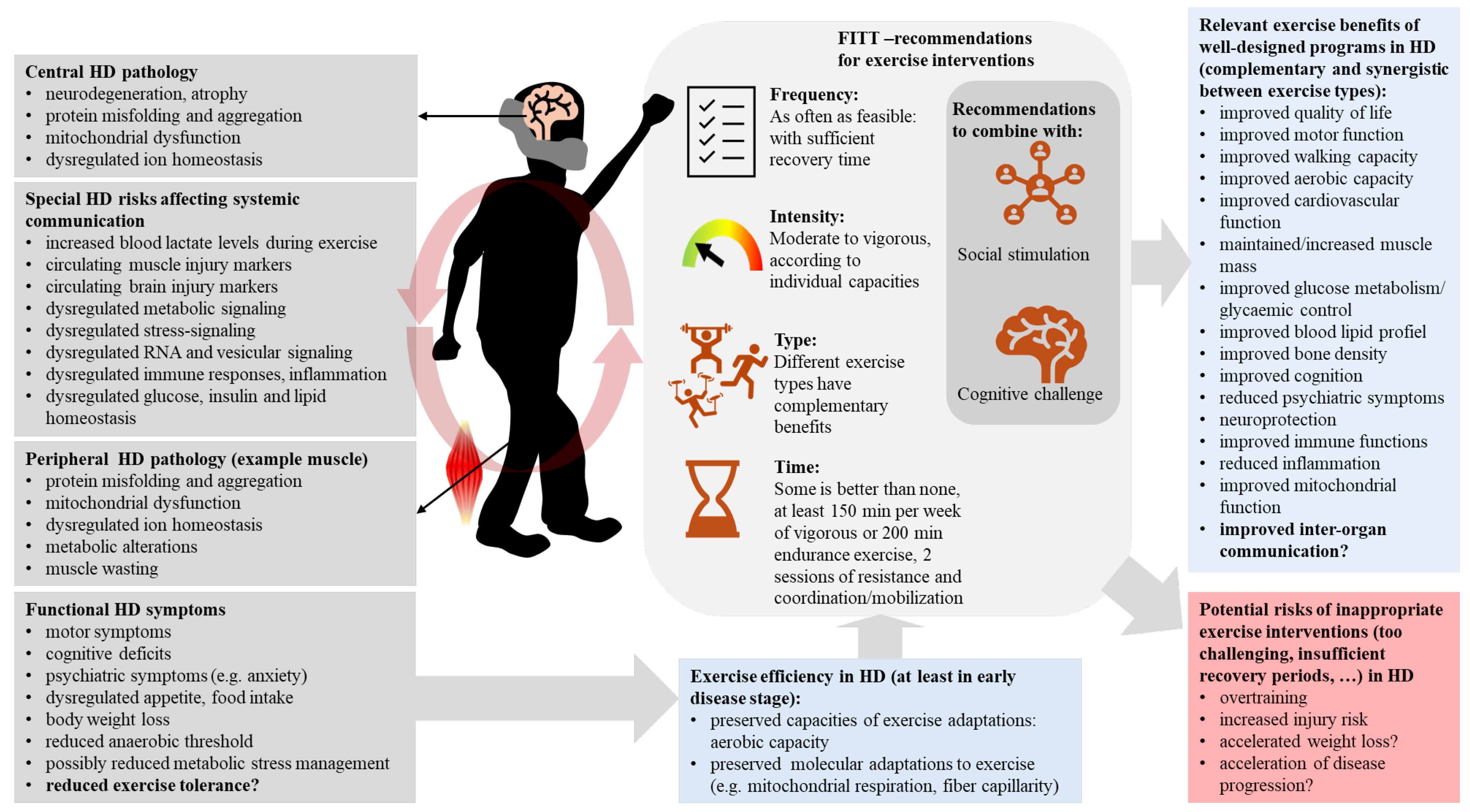 Ijms 25 04696 g003 Ijms 25 04696 g003