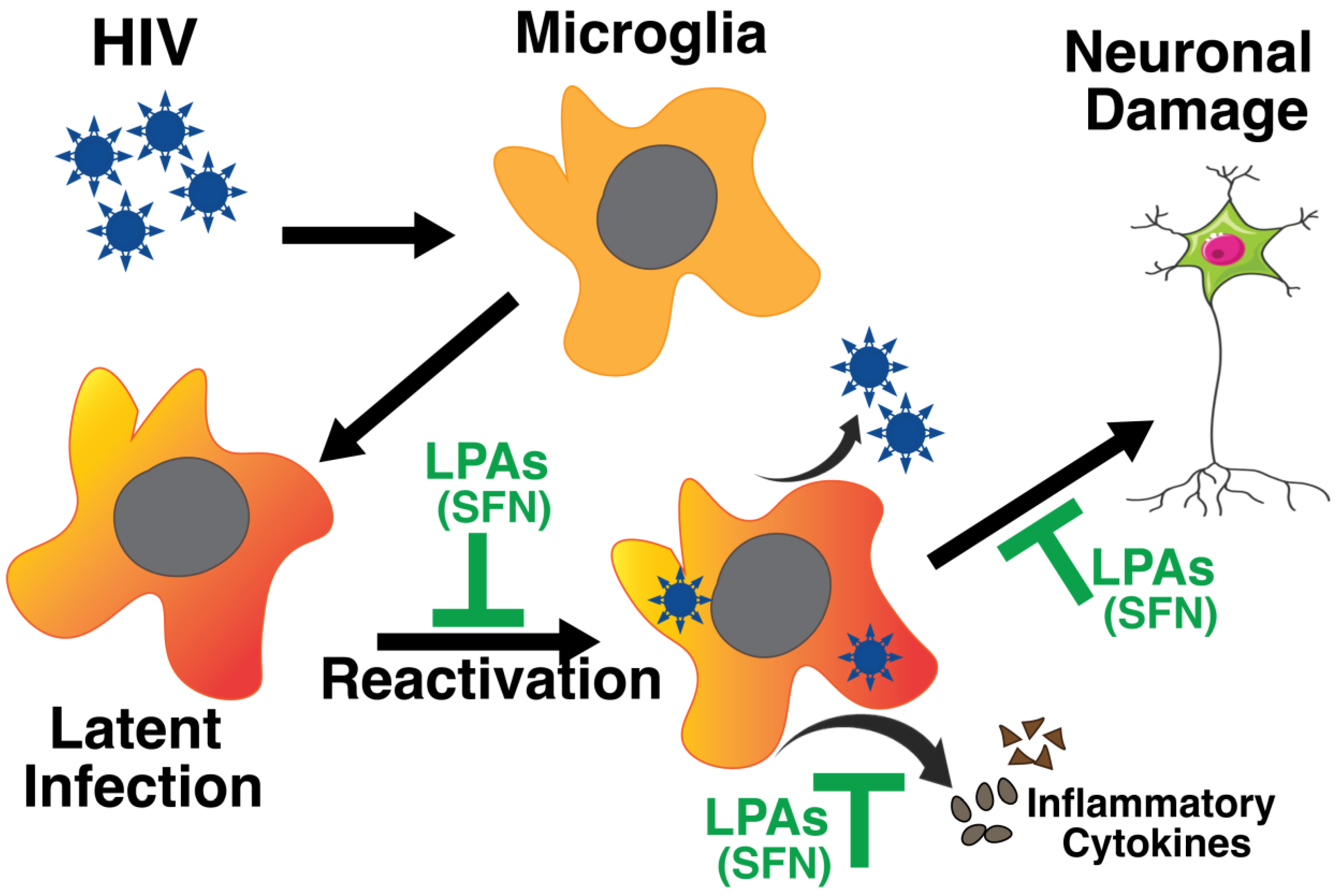Ijms 25 04697 g001 Ijms 25 04697 g001