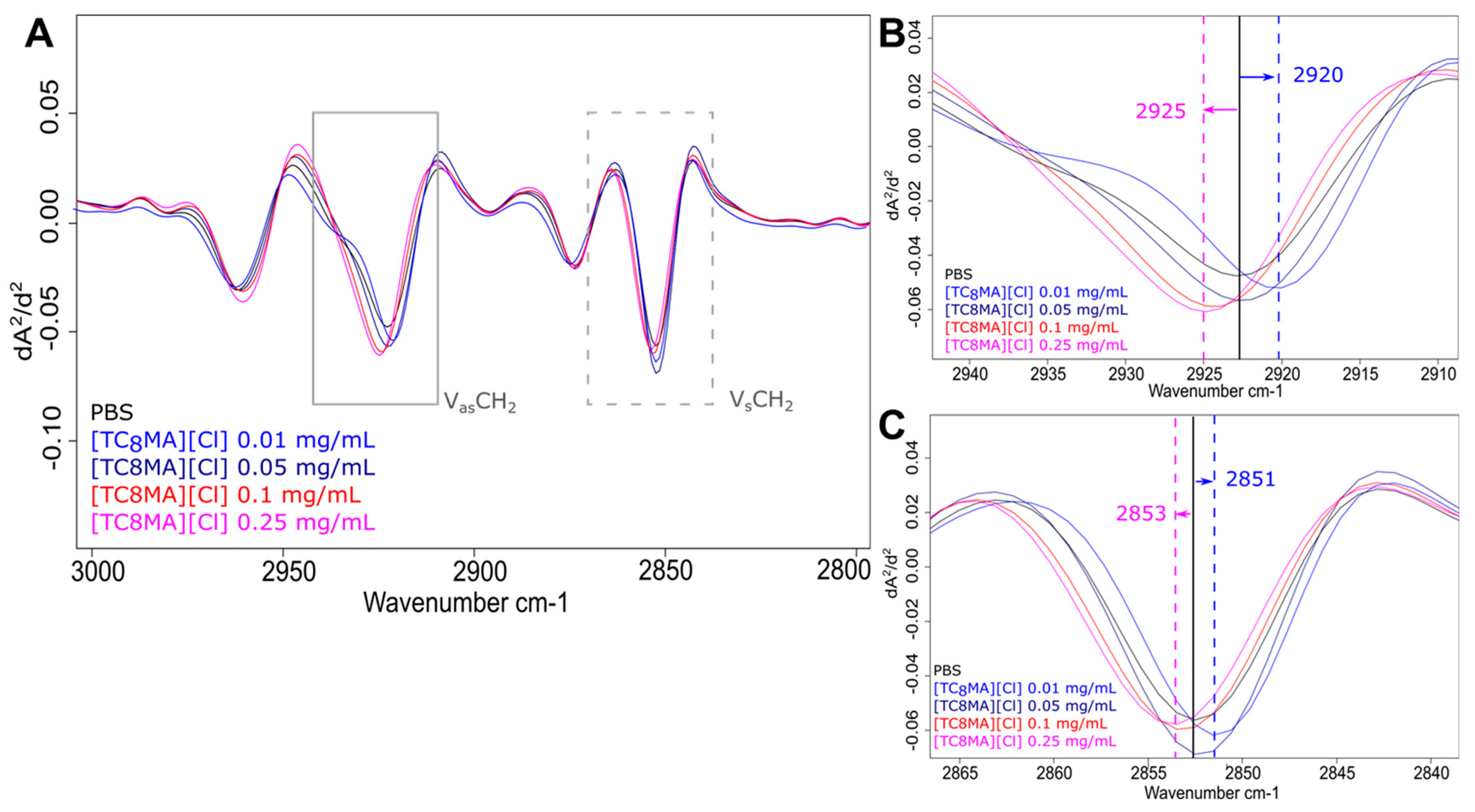 Ijms 25 04705 g005 Ijms 25 04705 g005