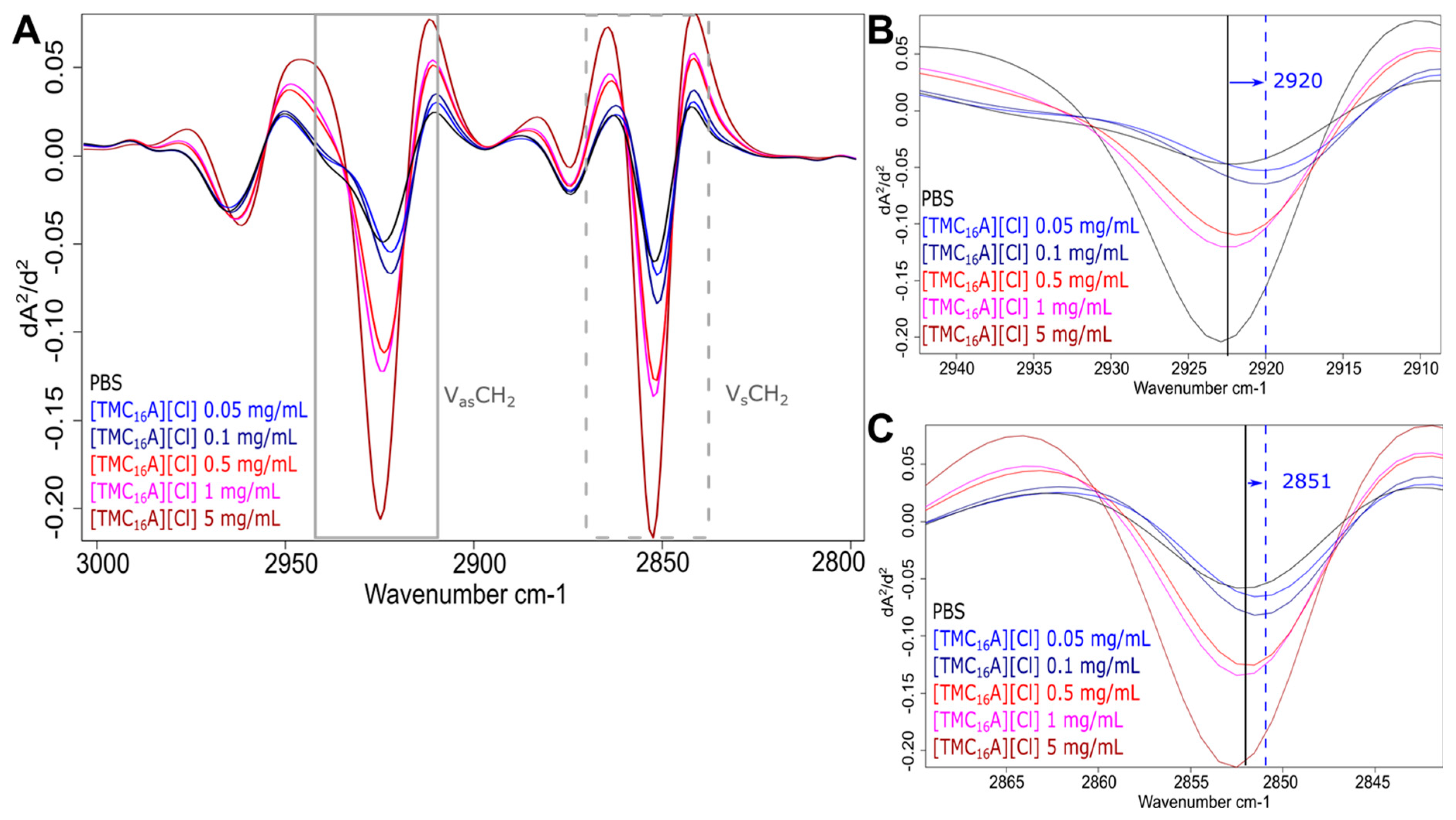 Ijms 25 04705 g006 Ijms 25 04705 g006