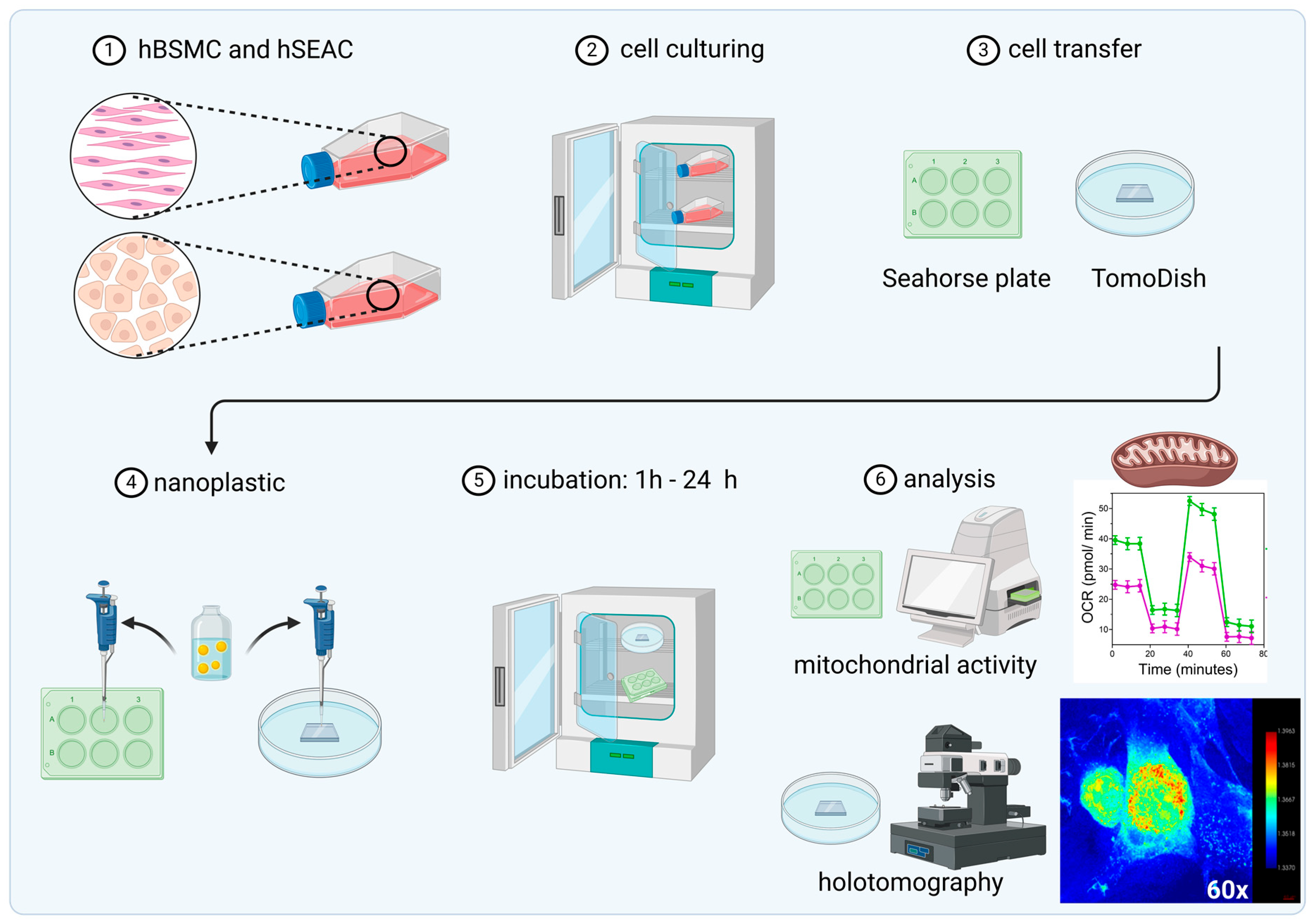 Ijms 25 04724 sch001