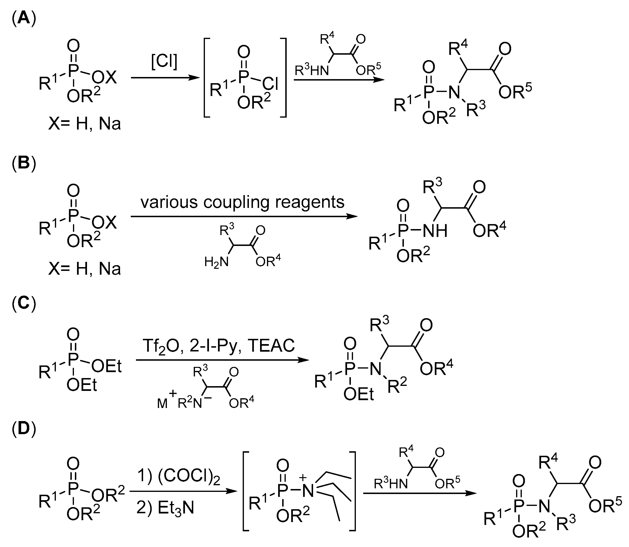 Ijms 25 04739 sch001