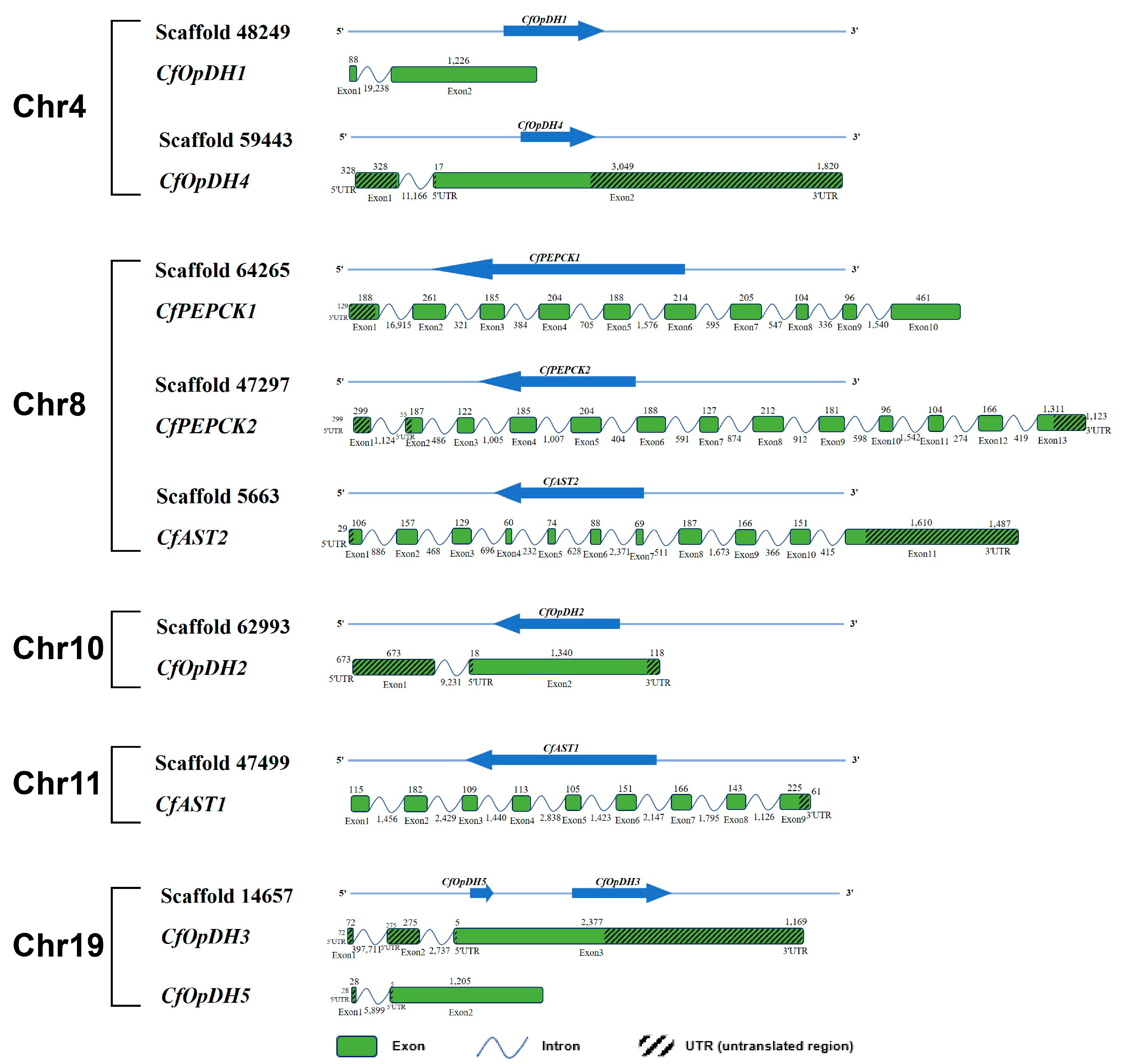Ijms 25 04741 g001 Ijms 25 04741 g001