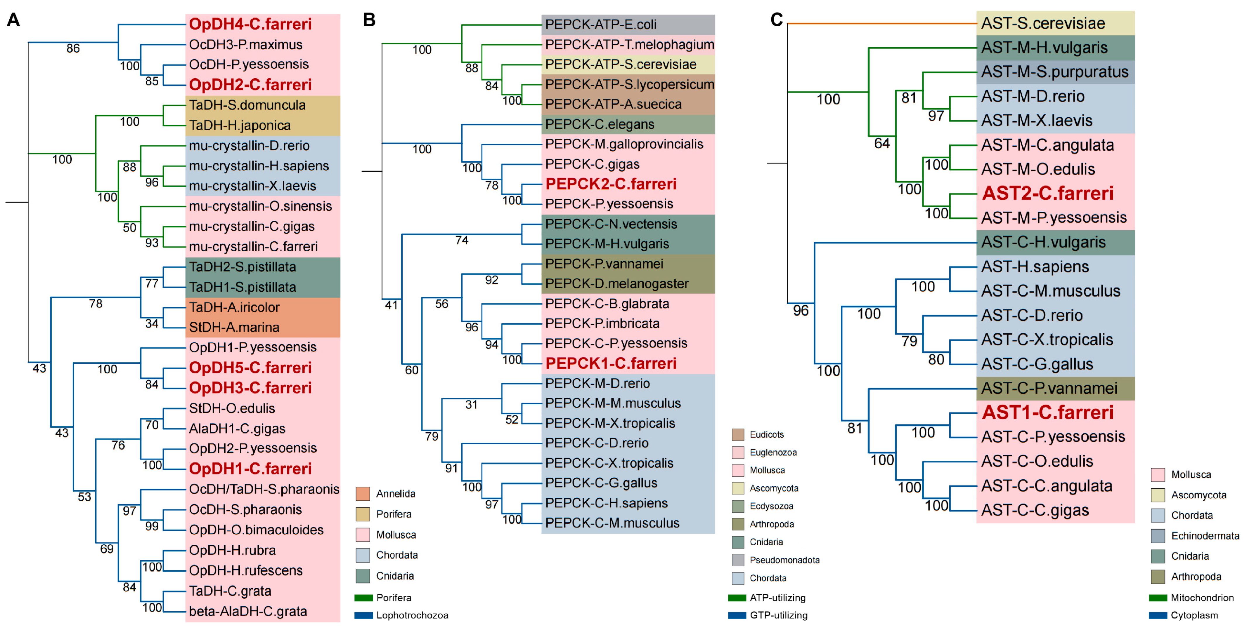 Ijms 25 04741 g006 Ijms 25 04741 g006