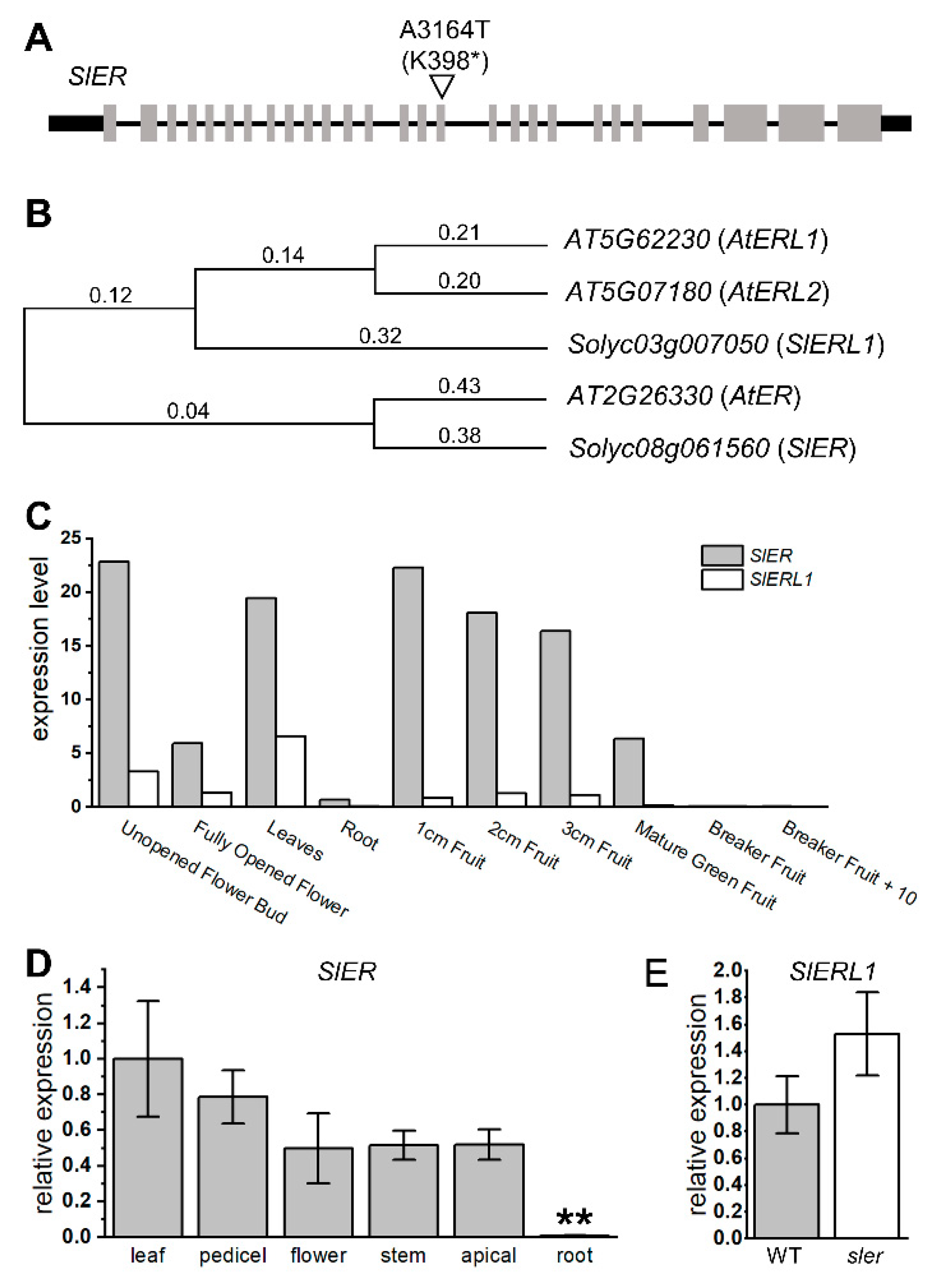 Ijms 25 04754 g003 Ijms 25 04754 g003