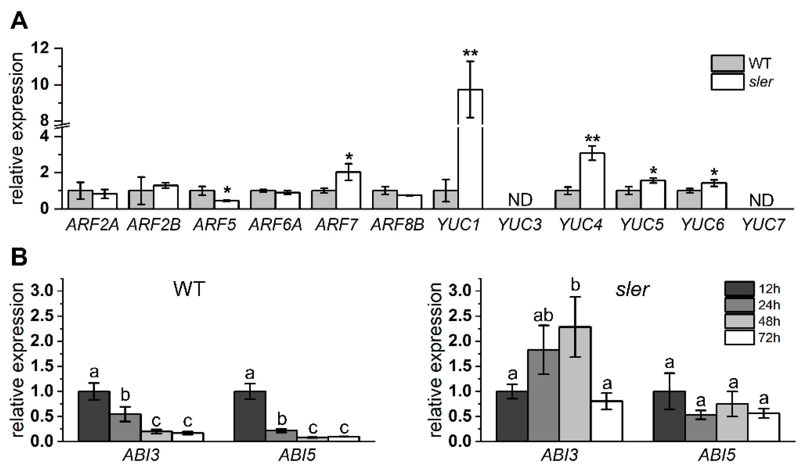 Ijms 25 04754 g005 Ijms 25 04754 g005