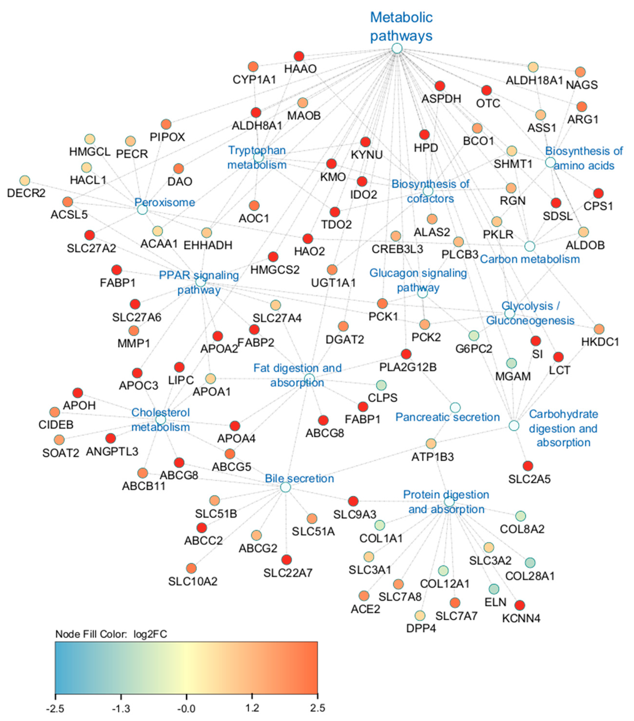 Ijms 25 04780 g005 Ijms 25 04780 g005